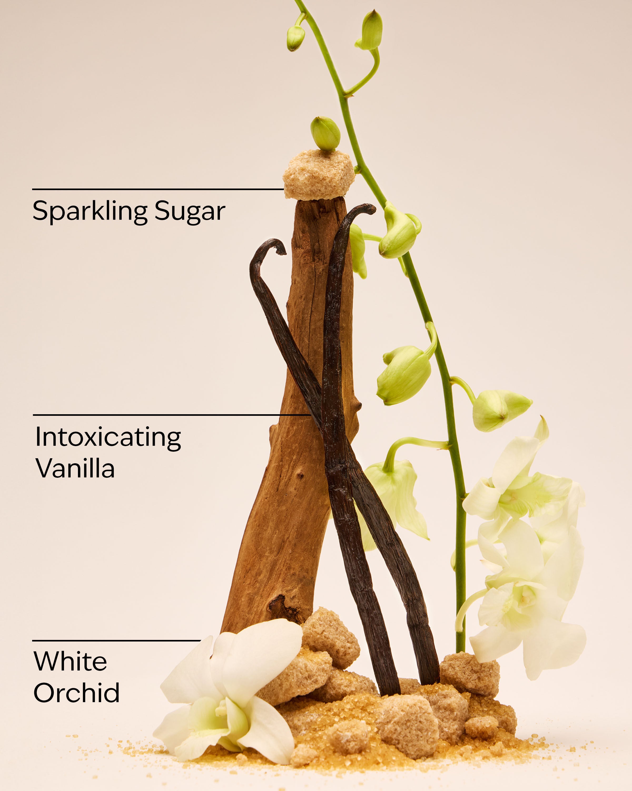 Gift Set Warm Vanilla Sugar - Image 3