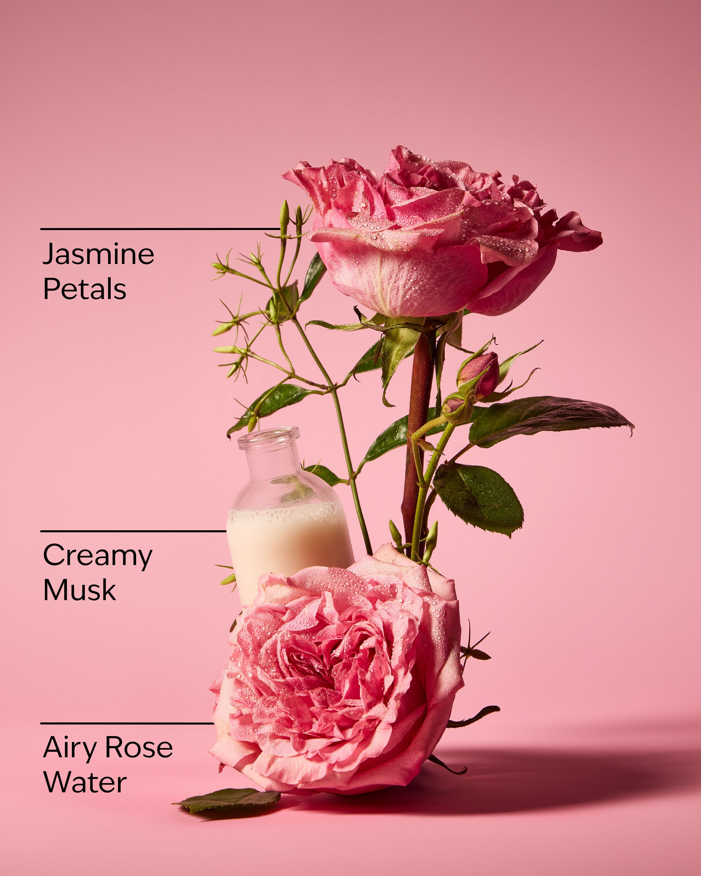 Mini Gift Set Rose - Image 3