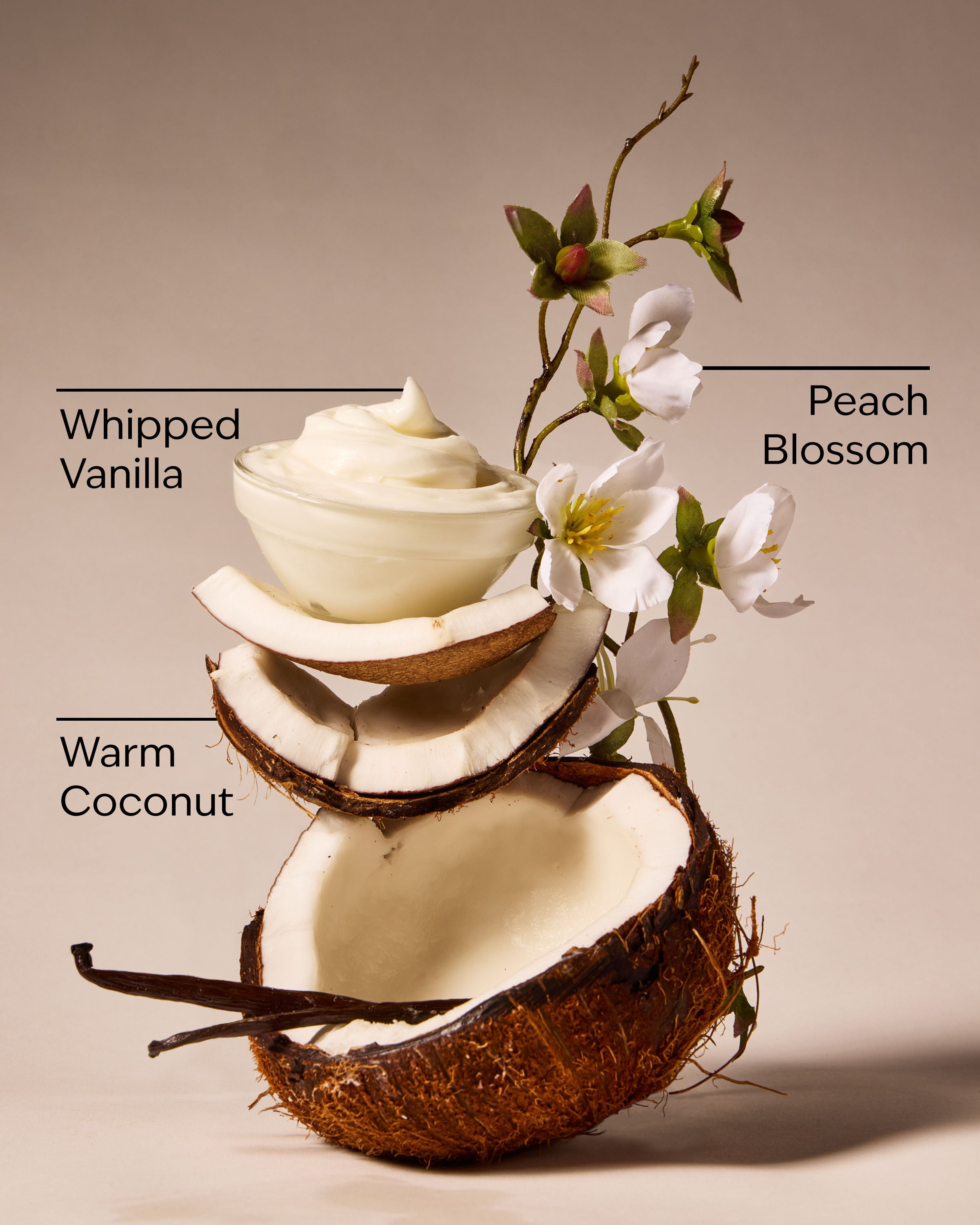Wallflowers Refills 2-Pack Vanilla Coconut 0.8 fl oz / 24 mL Each - Image 3