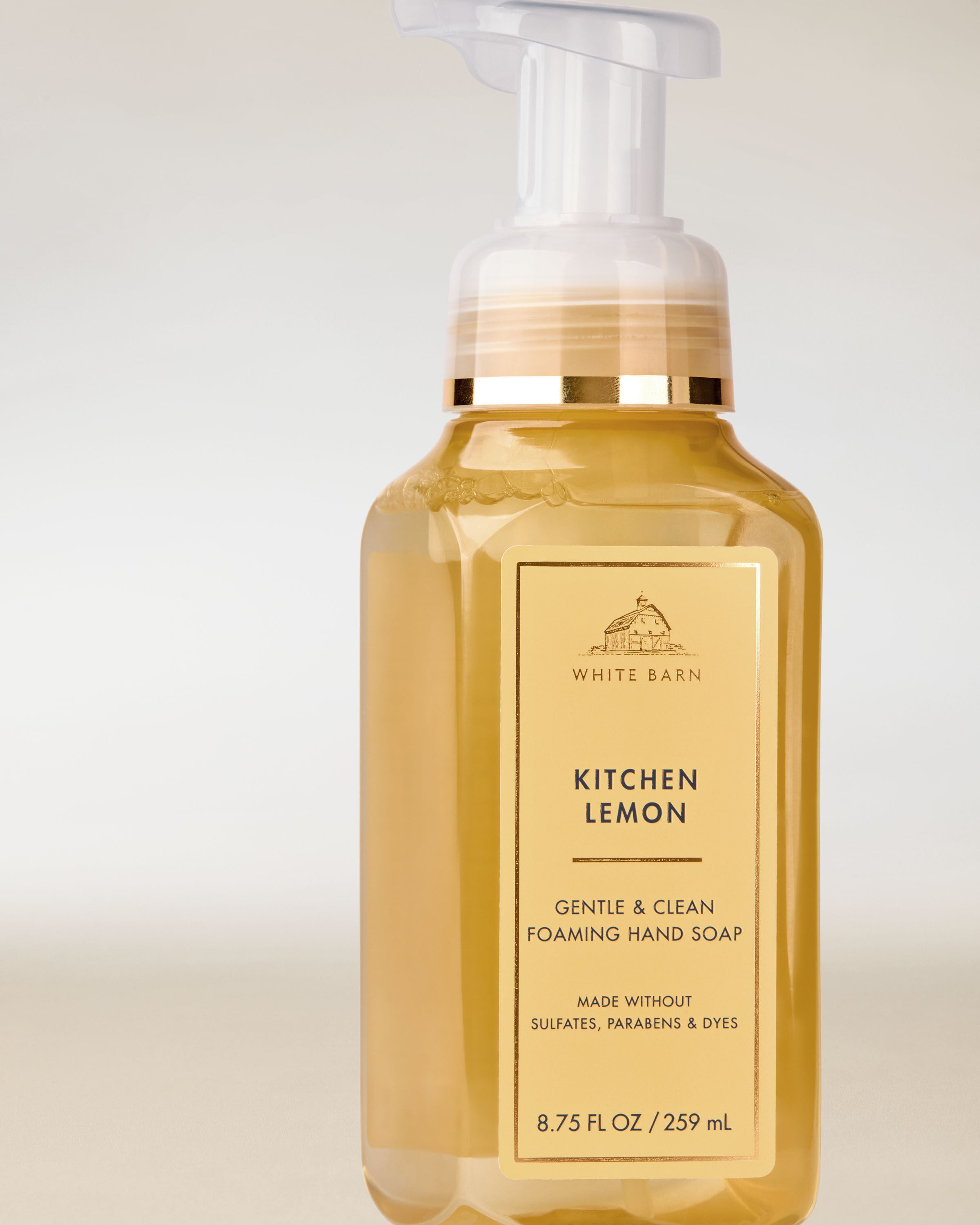 Gentle & Clean Foaming Hand Soap Kitchen Lemon 8.75 fl oz / 259 mL - Image 2