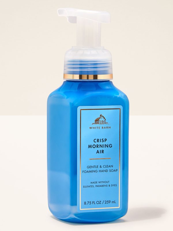Gentle & Clean Foaming Hand Soap  Crisp Morning Air 8.75 fl oz / 259 mL