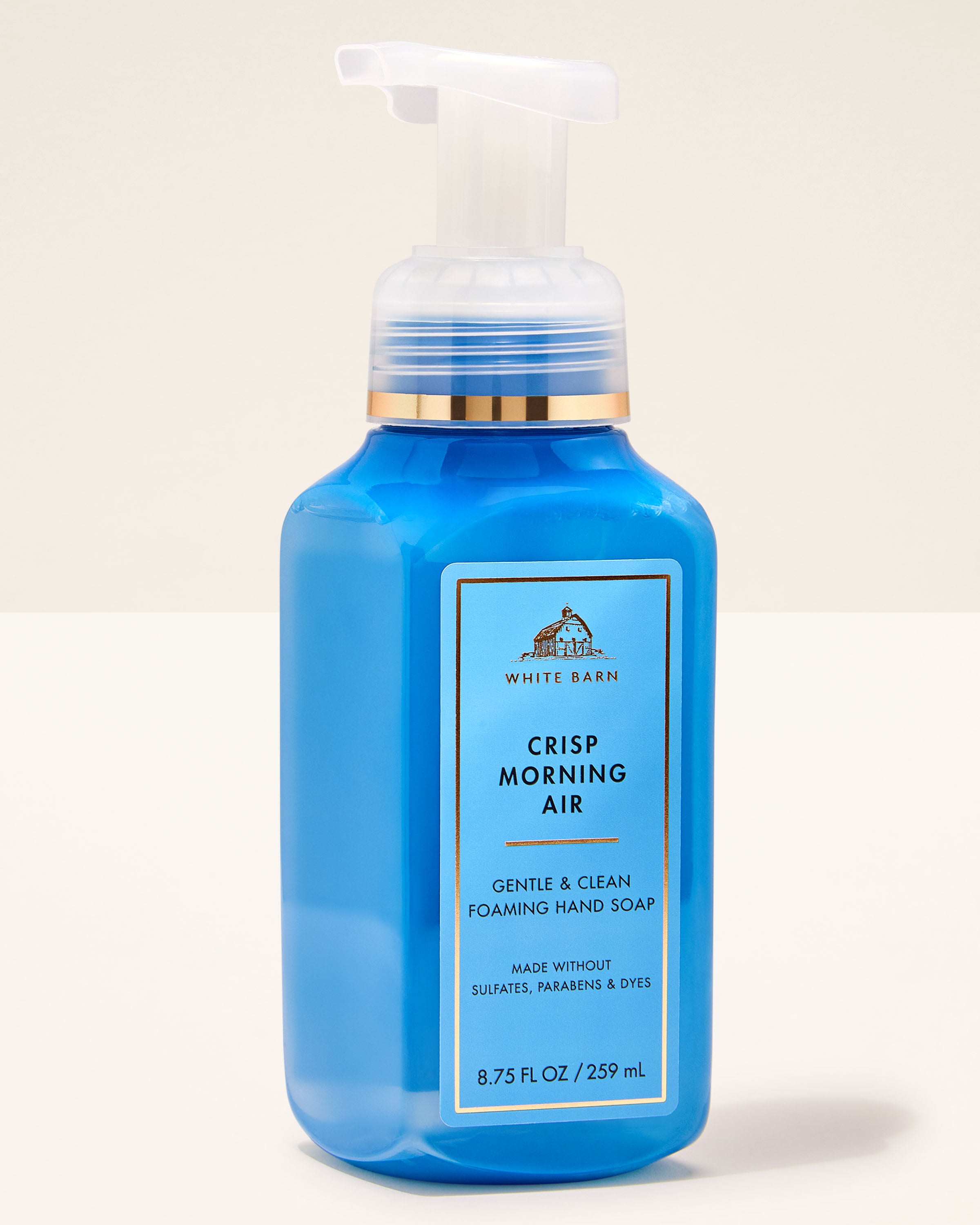 Gentle & Clean Foaming Hand Soap Crisp Morning Air 8.75 fl oz / 259 mL