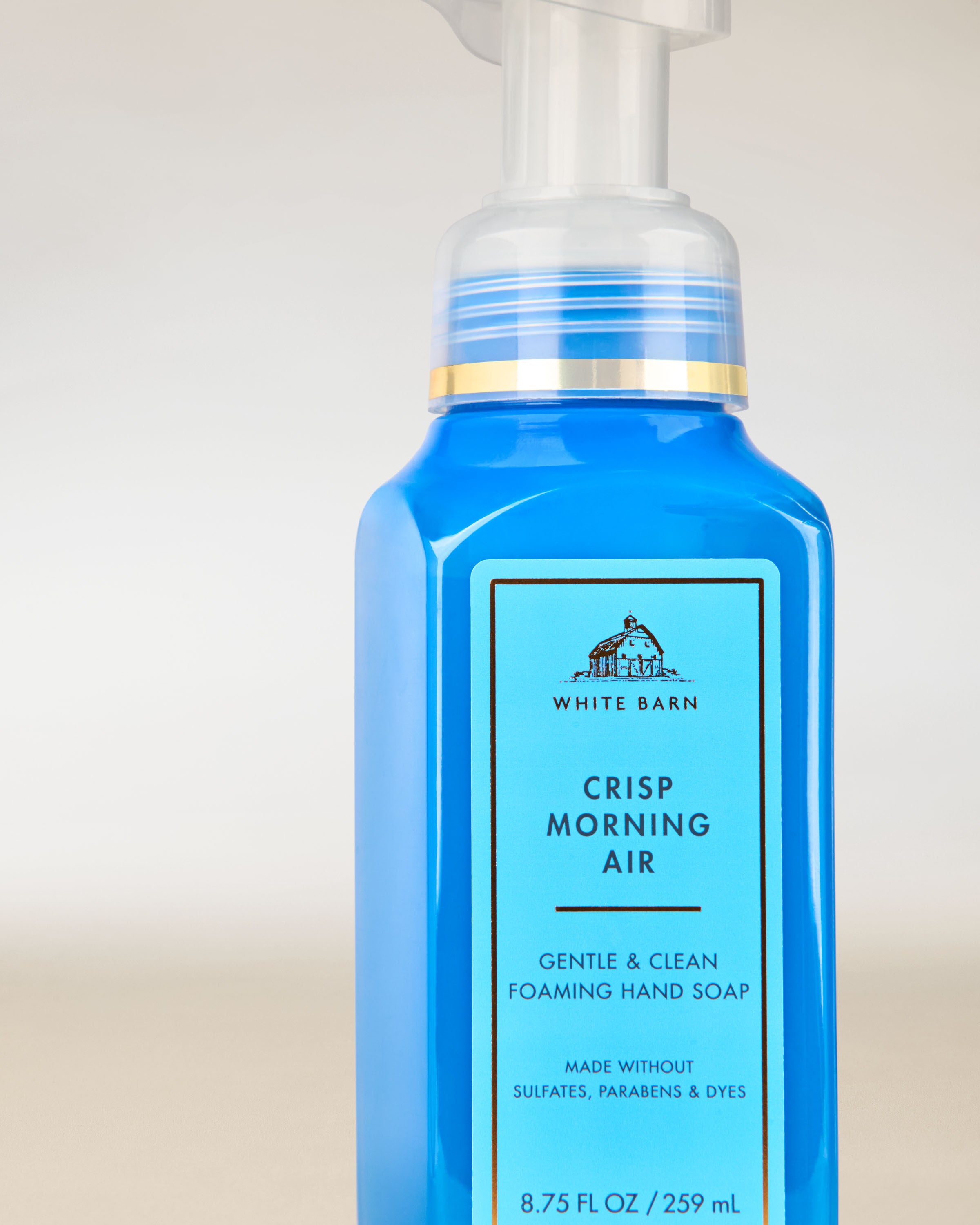 Gentle & Clean Foaming Hand Soap Crisp Morning Air 8.75 fl oz / 259 mL - Image 2