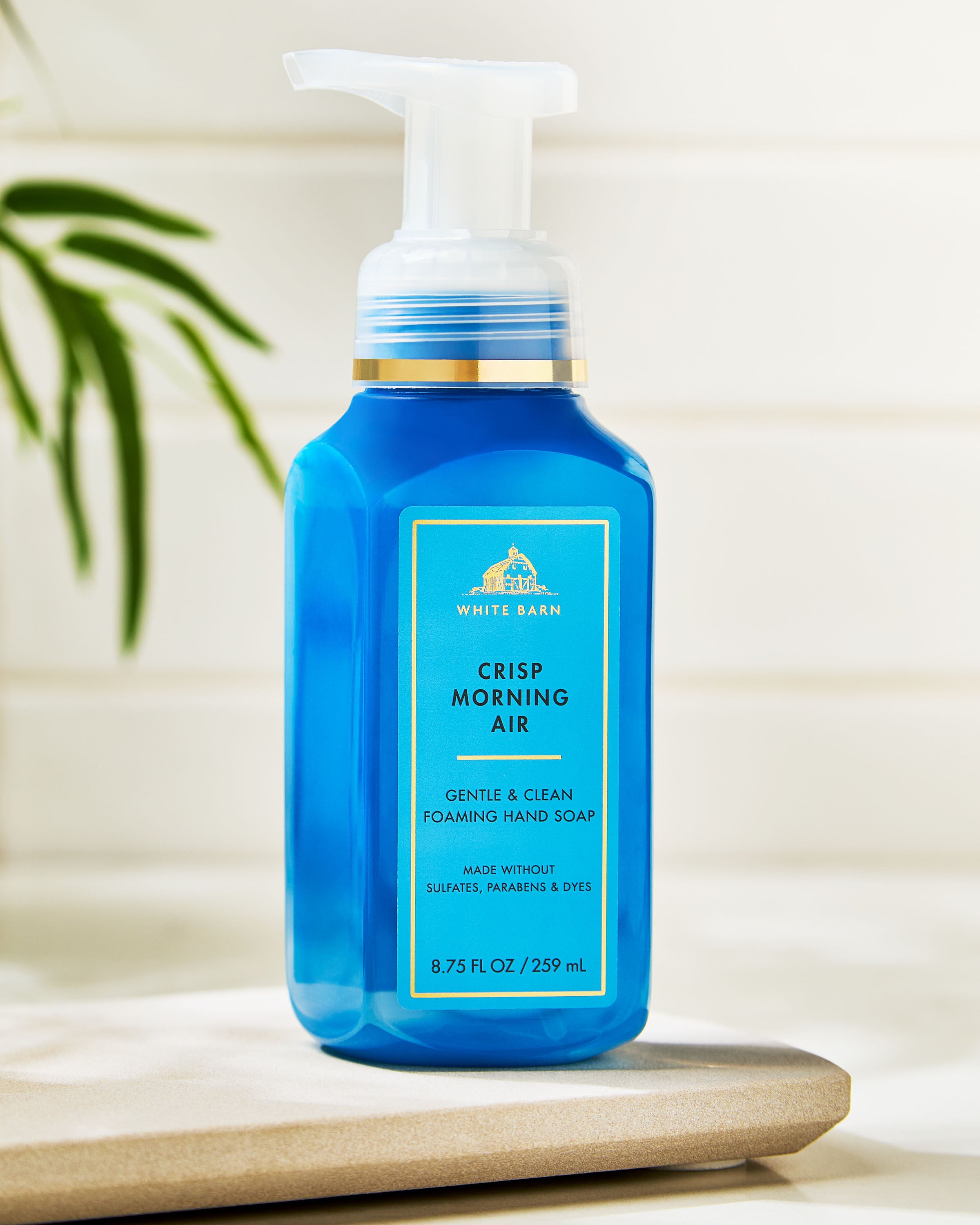 Gentle & Clean Foaming Hand Soap Crisp Morning Air 8.75 fl oz / 259 mL - Image 7