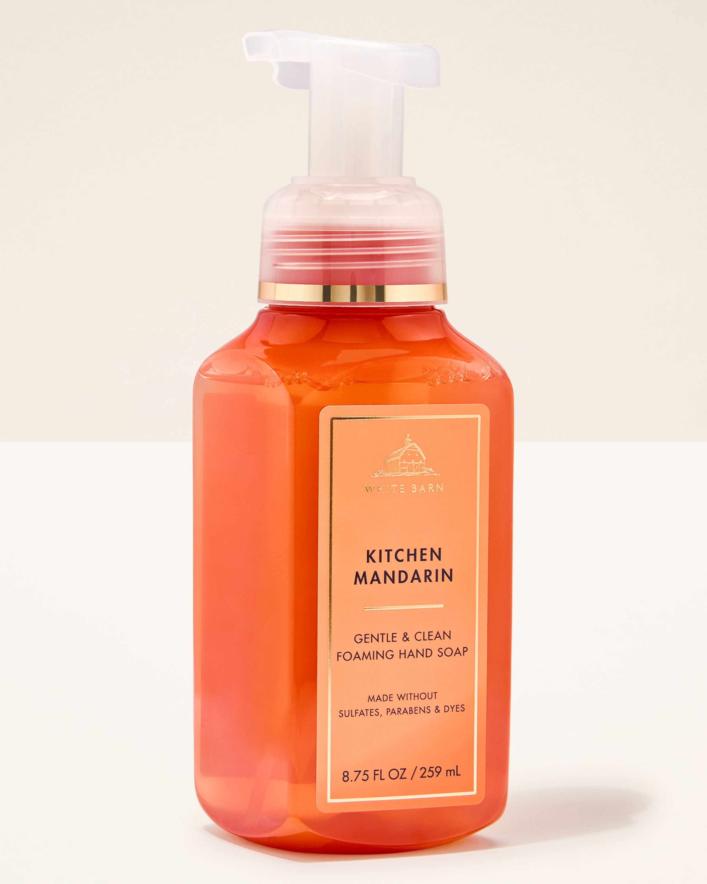 Gentle & Clean Foaming Hand Soap Kitchen Mandarin 8.75 fl oz / 259 mL