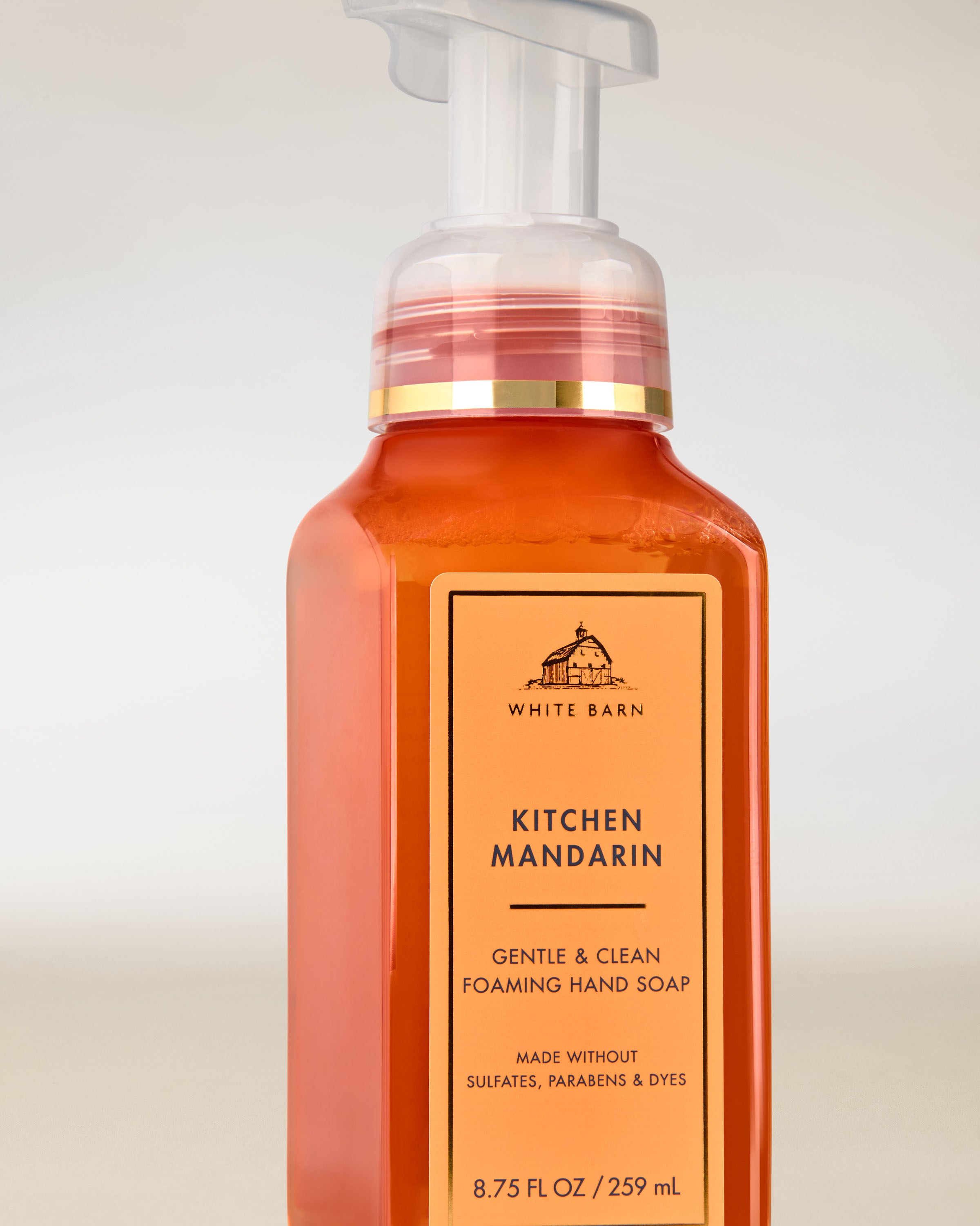 Gentle & Clean Foaming Hand Soap Kitchen Mandarin 8.75 fl oz / 259 mL - Image 2