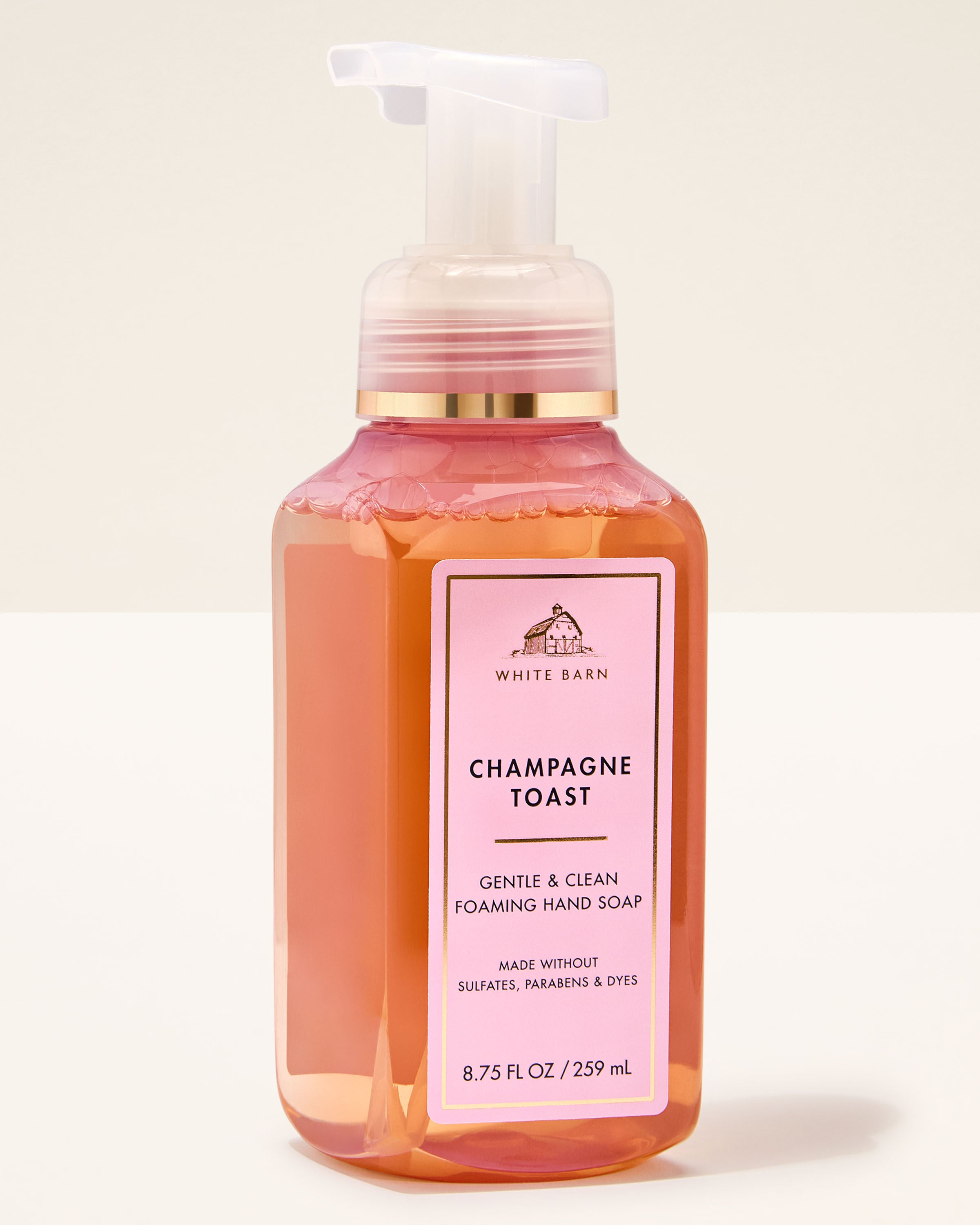Gentle & Clean Foaming Hand Soap Champagne Toast 8.75 fl oz / 259 mL
