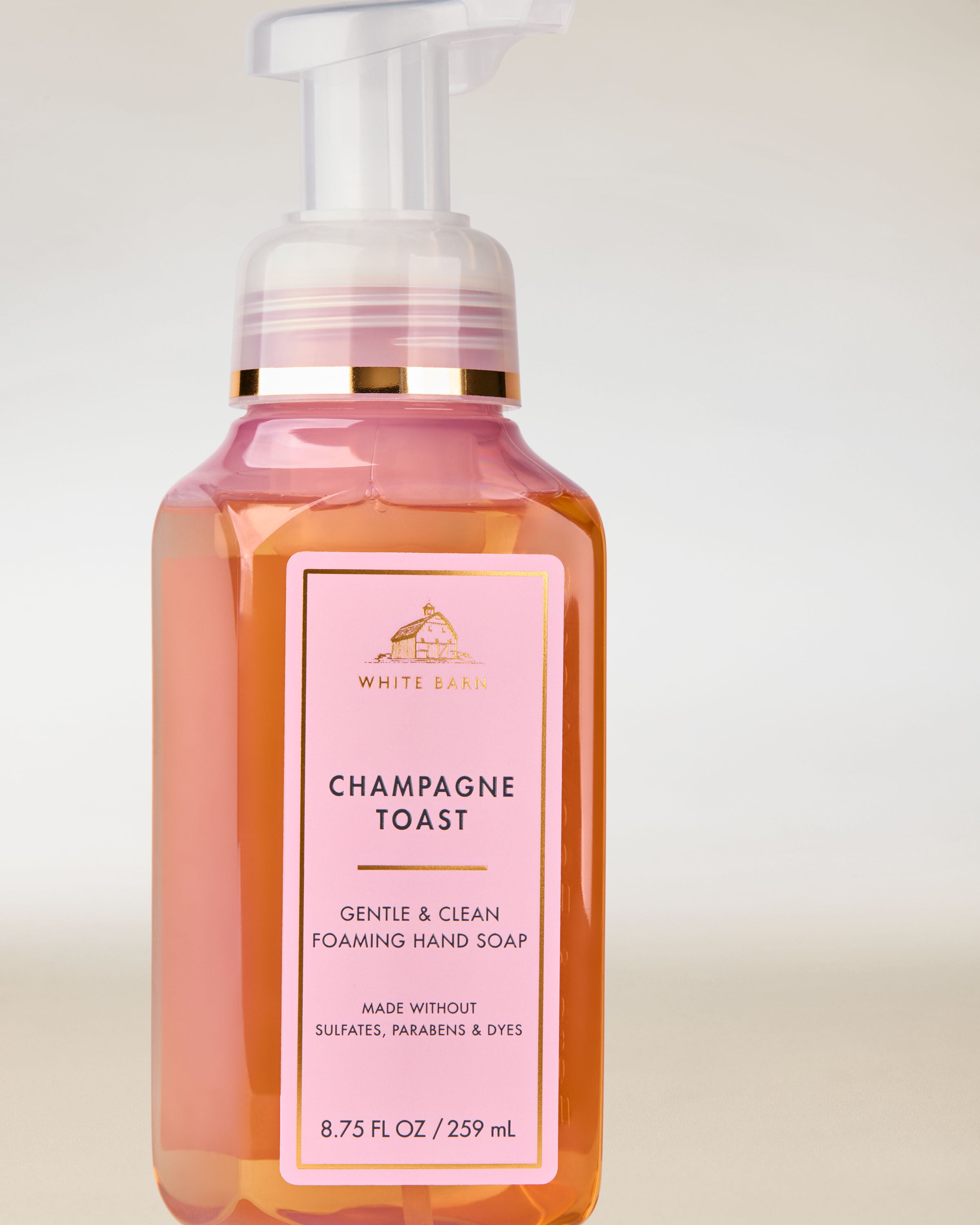 Gentle & Clean Foaming Hand Soap Champagne Toast 8.75 fl oz / 259 mL - Image 2