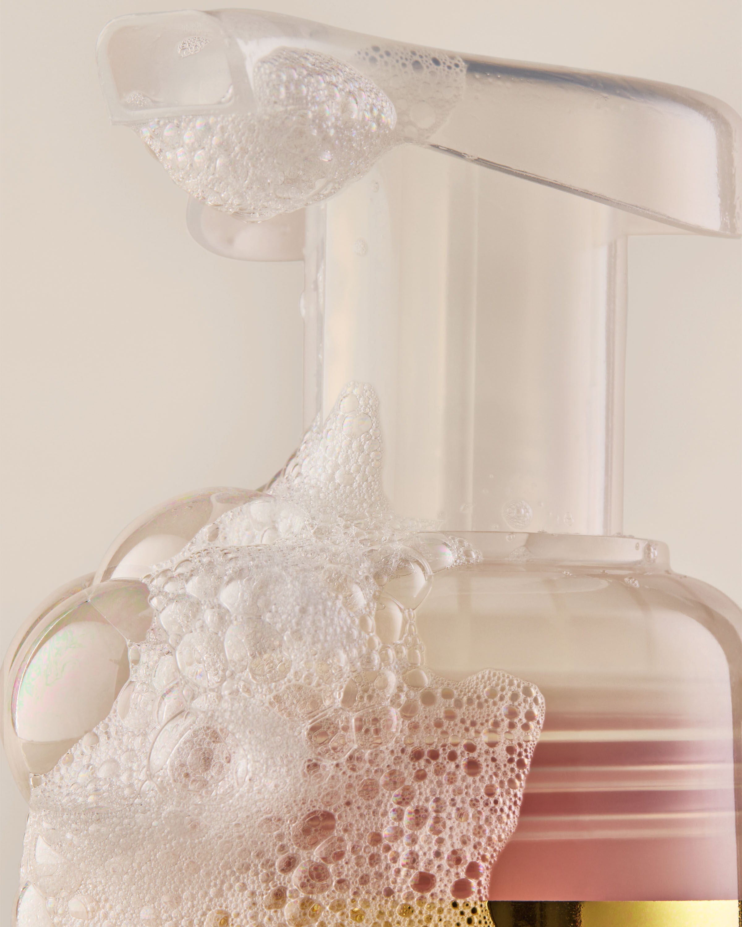 Gentle & Clean Foaming Hand Soap Champagne Toast 8.75 fl oz / 259 mL - Image 5