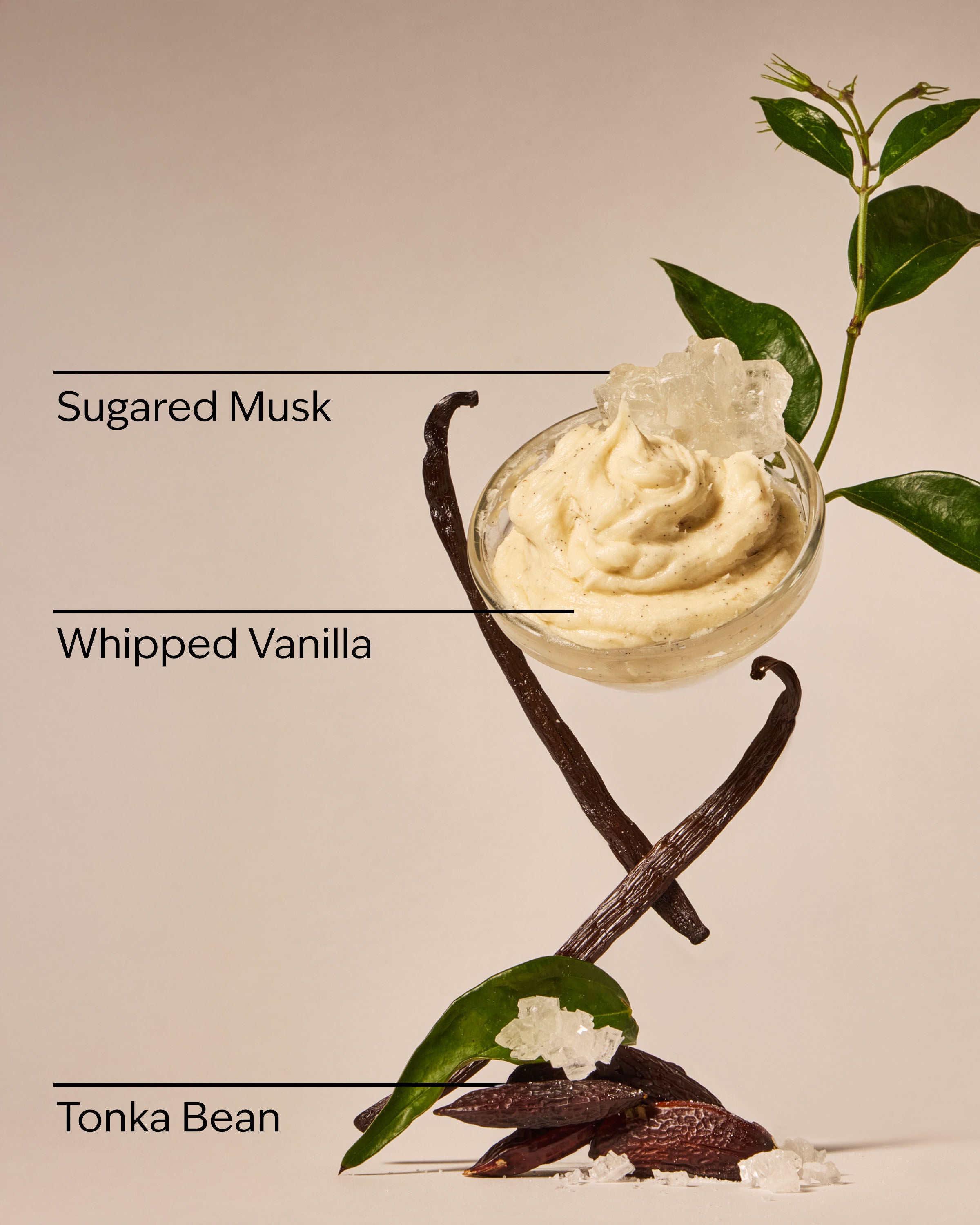 Travel Size Fine Fragrance Mist Wild Vanilla 2.5 fl oz / 75 mL - Image 3