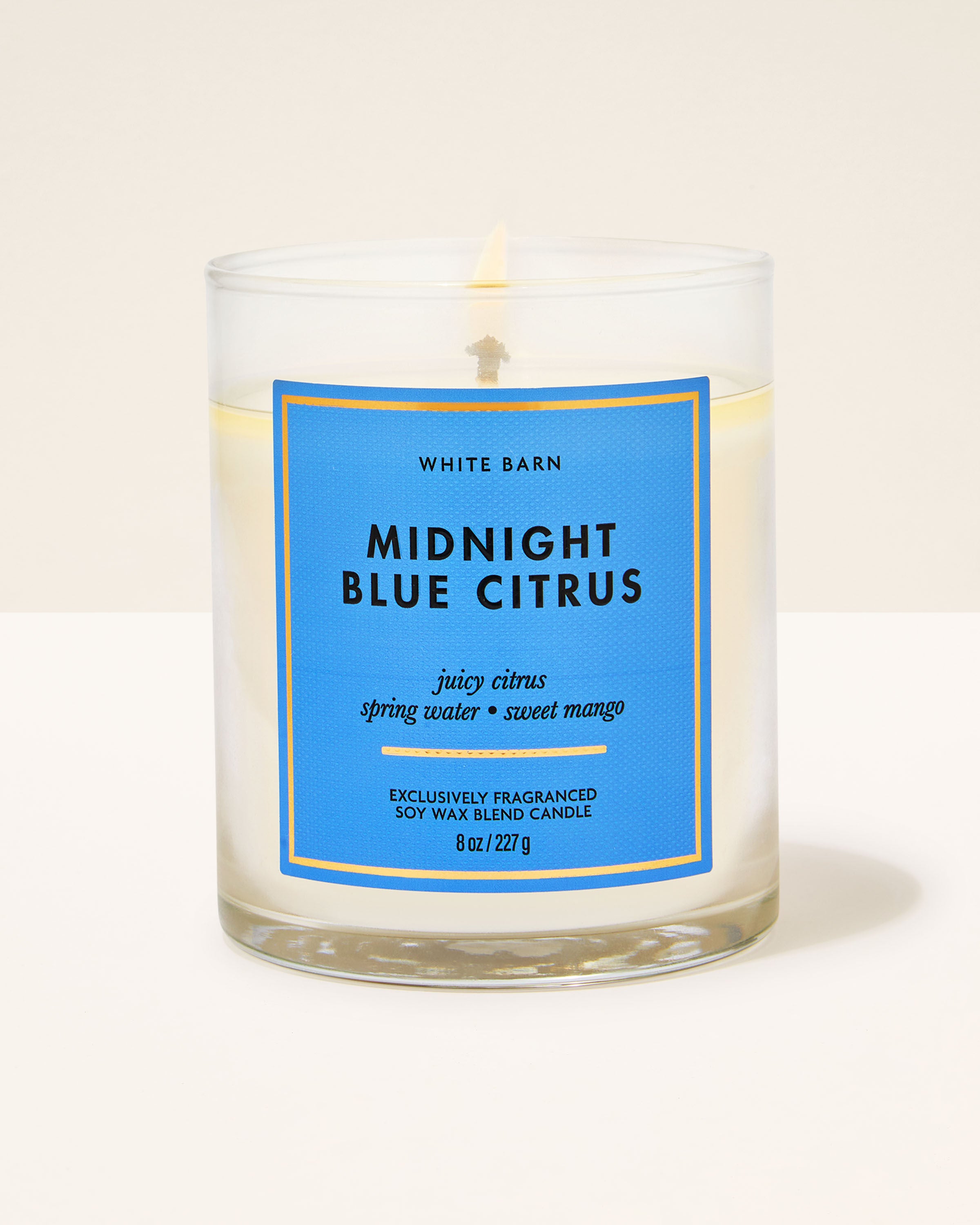 Single Wick Candle Midnight Blue Citrus 8 oz / 227 g