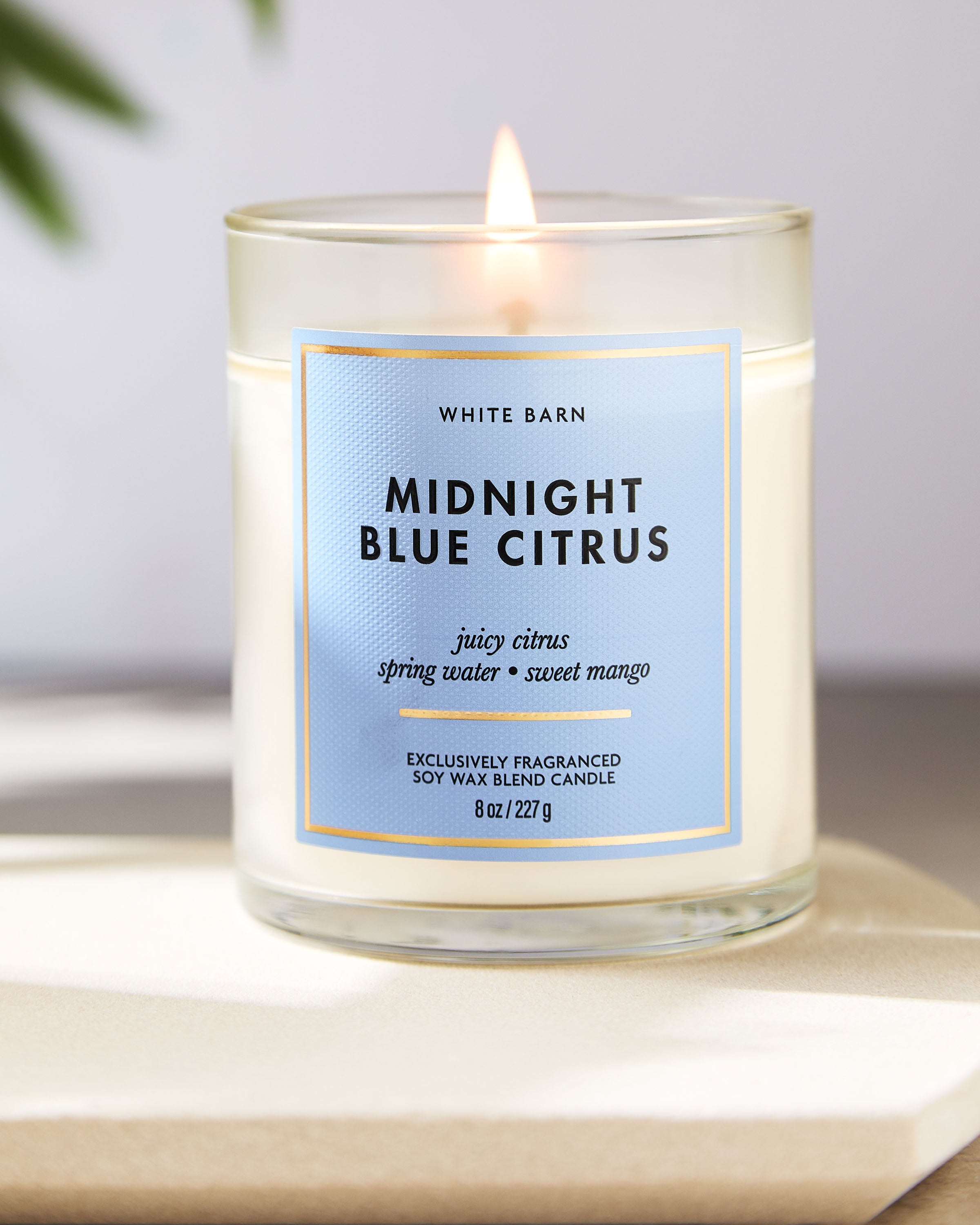 Single Wick Candle Midnight Blue Citrus 8 oz / 227 g - Image 6