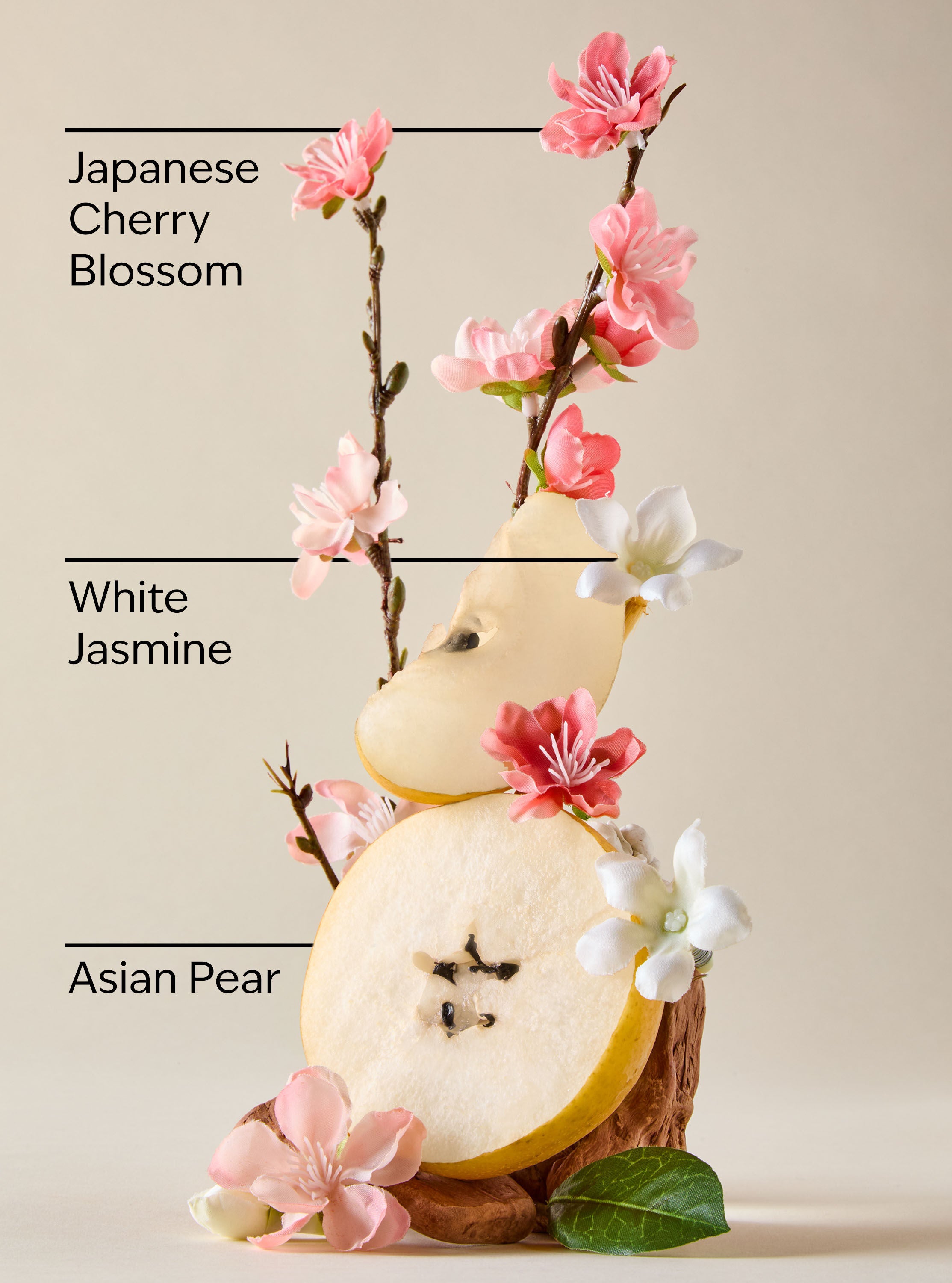 Gentle & Clean Foaming Hand Soap Japanese Cherry Blossom 8.75 fl oz / 259 mL - Image 3