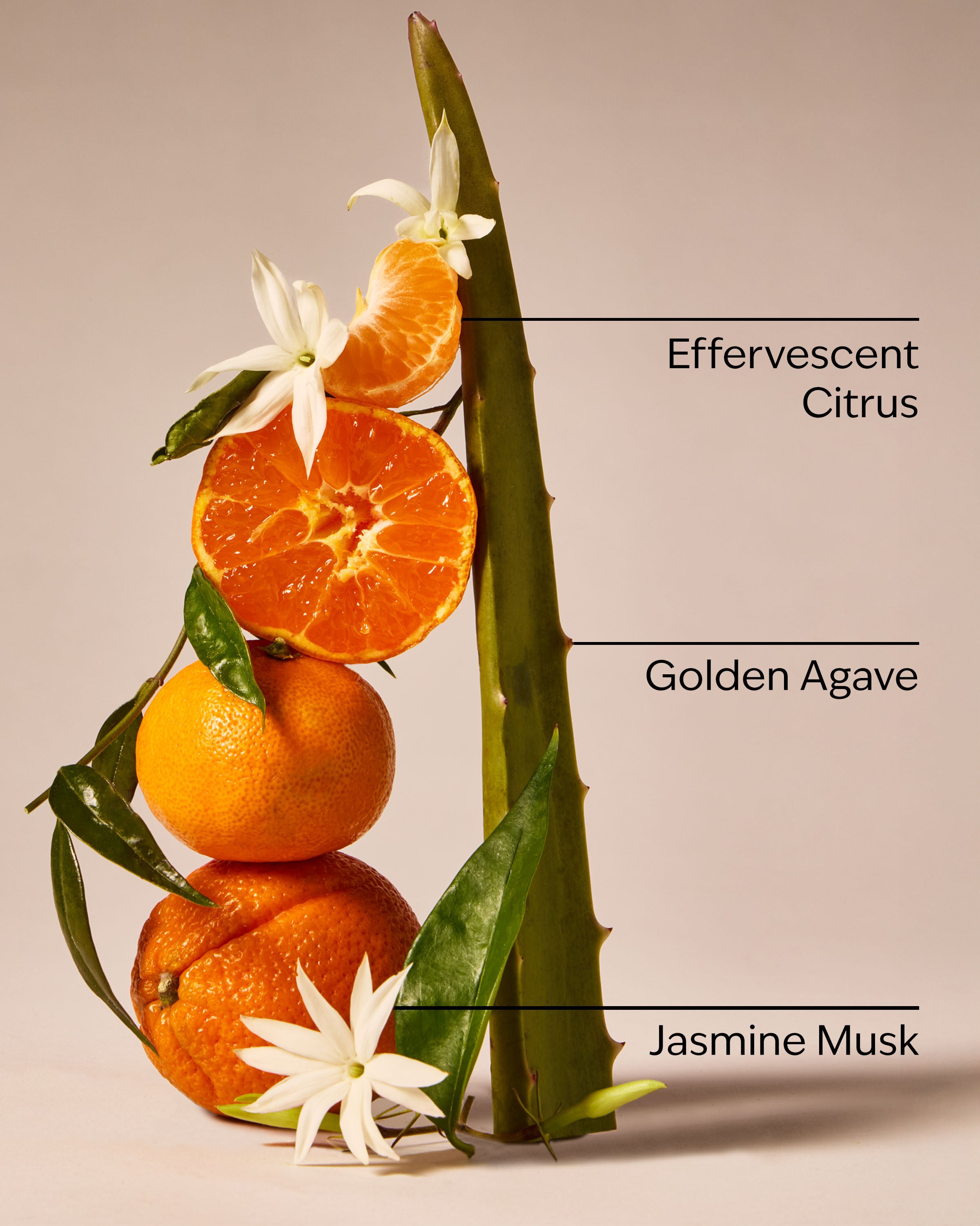 Wallflowers Fragrance Refill Sweet Orange & Agave 0.8 fl oz / 24 mL - Image 3