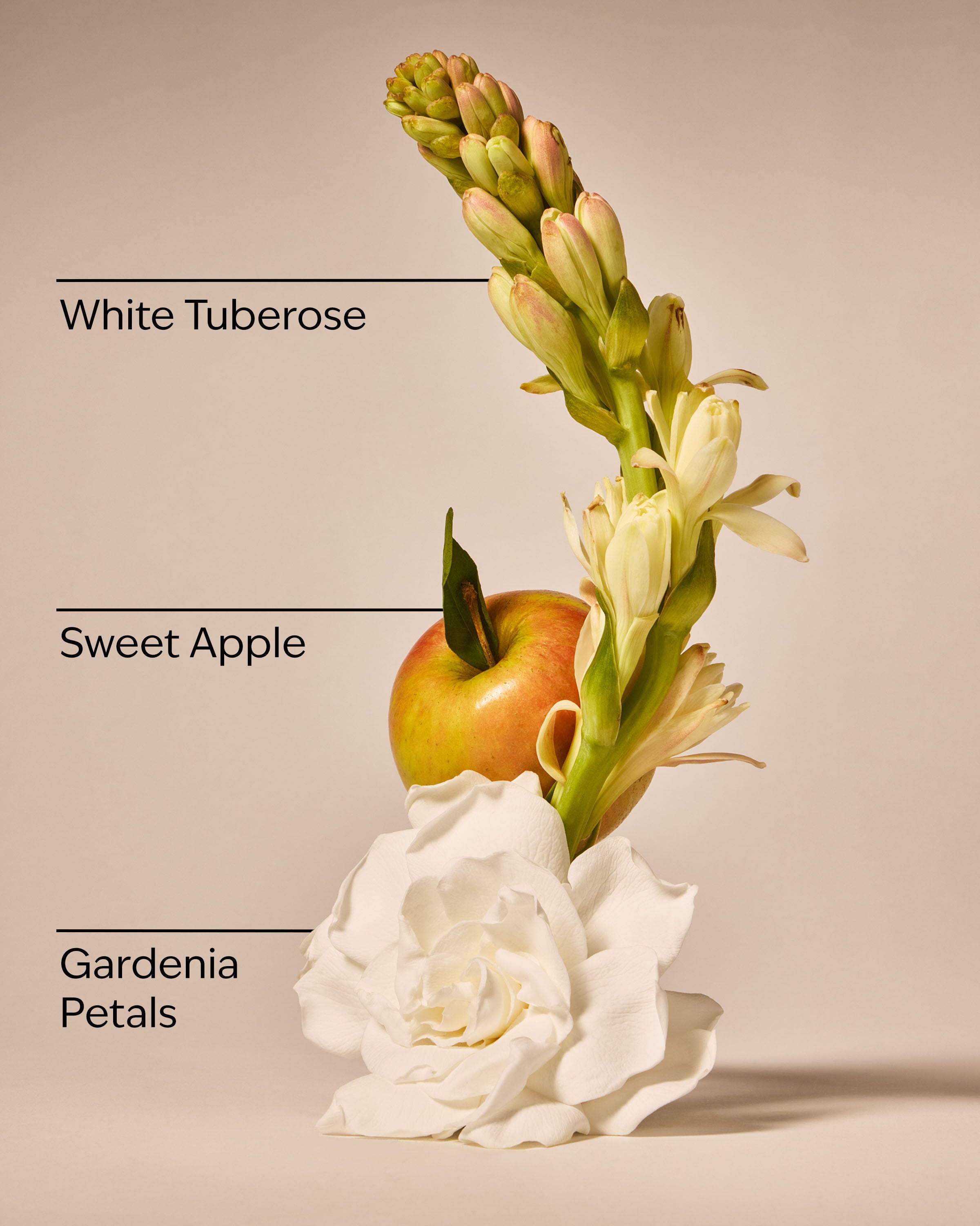 Wallflowers Fragrance Refill White Gardenia 0.8 fl oz / 24 mL - Image 3