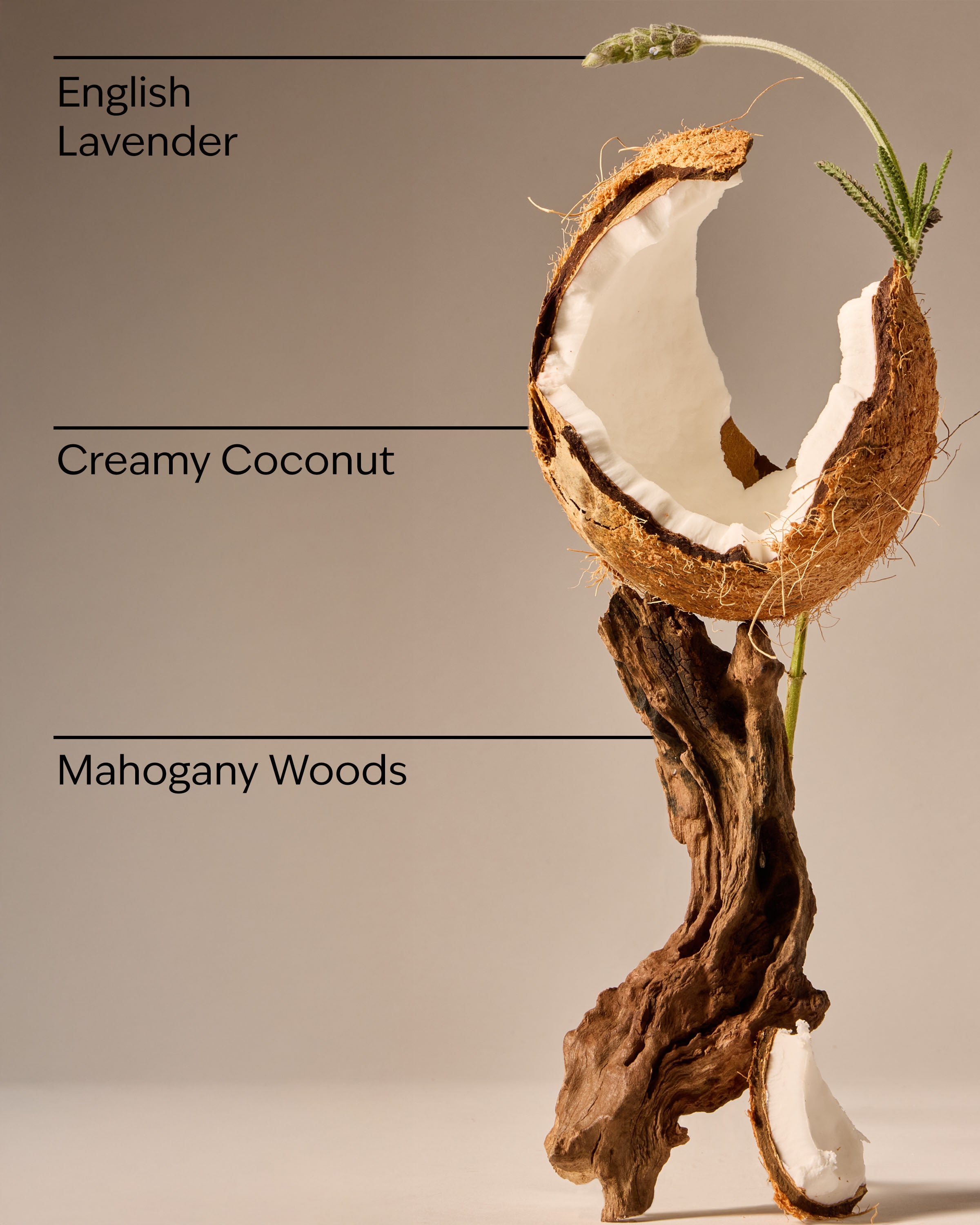 Wallflowers Fragrance Refill Mahogany Coconut 0.8 fl oz / 24 mL - Image 3