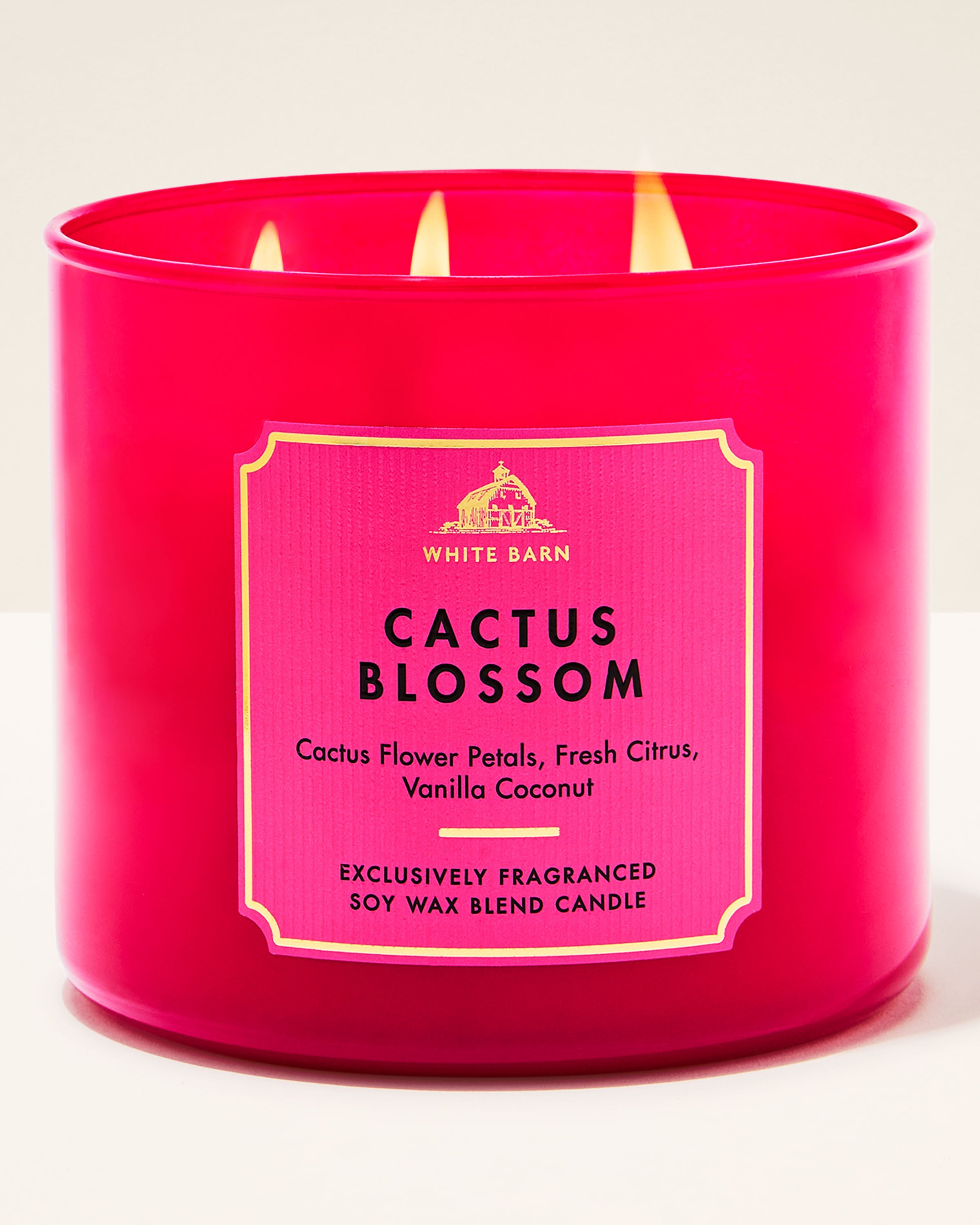3-Wick Candle Cactus Blossom 14.5 oz / 411 g