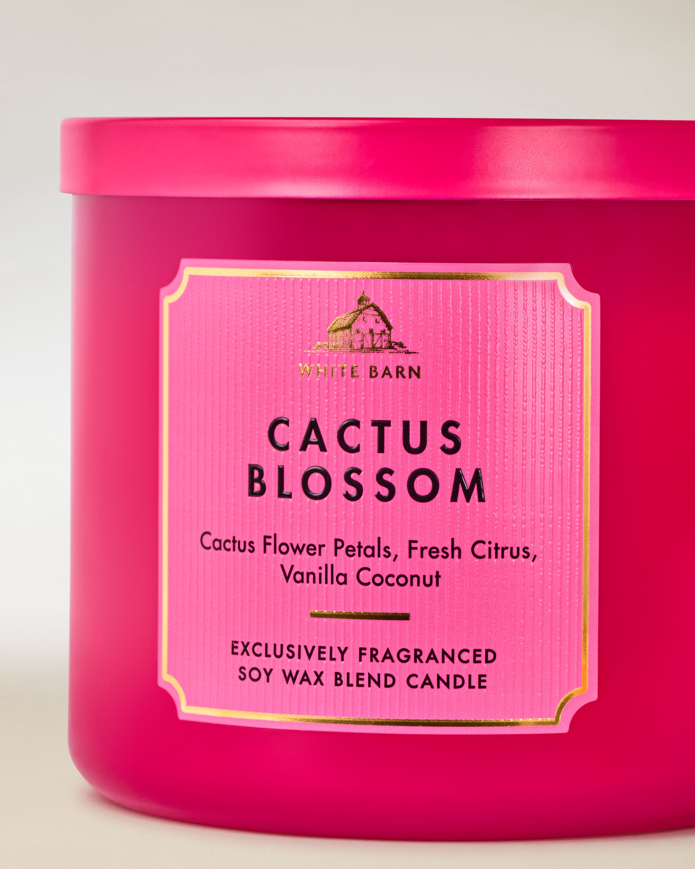 3-Wick Candle Cactus Blossom 14.5 oz / 411 g - Image 2