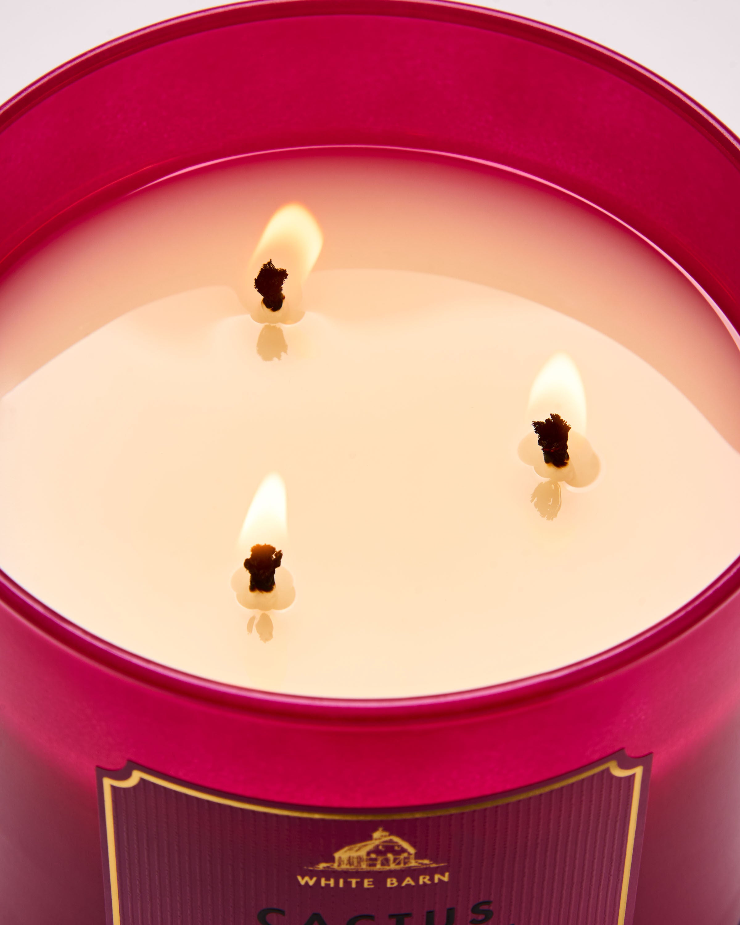 3-Wick Candle Cactus Blossom 14.5 oz / 411 g - Image 5