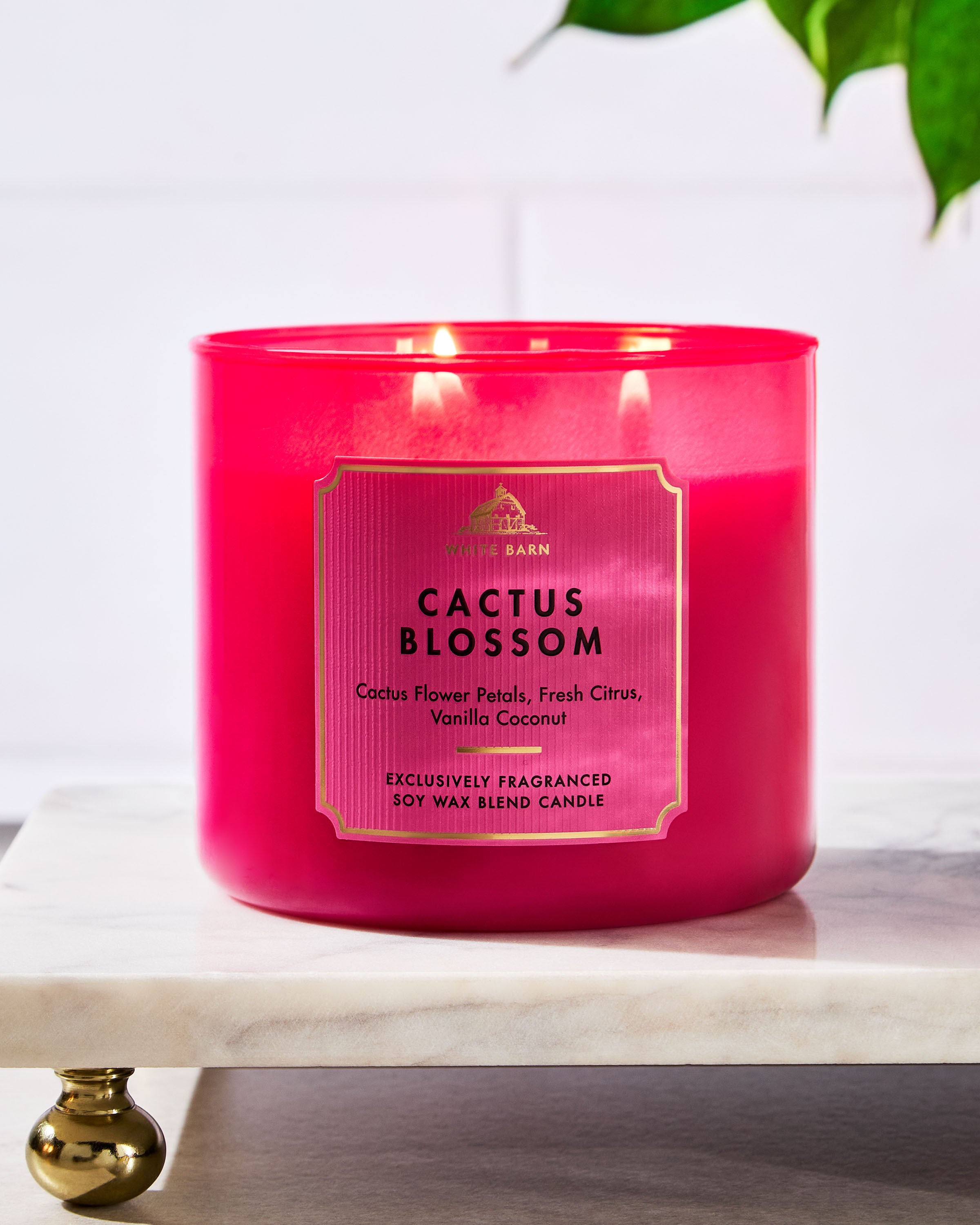 3-Wick Candle Cactus Blossom 14.5 oz / 411 g - Image 6