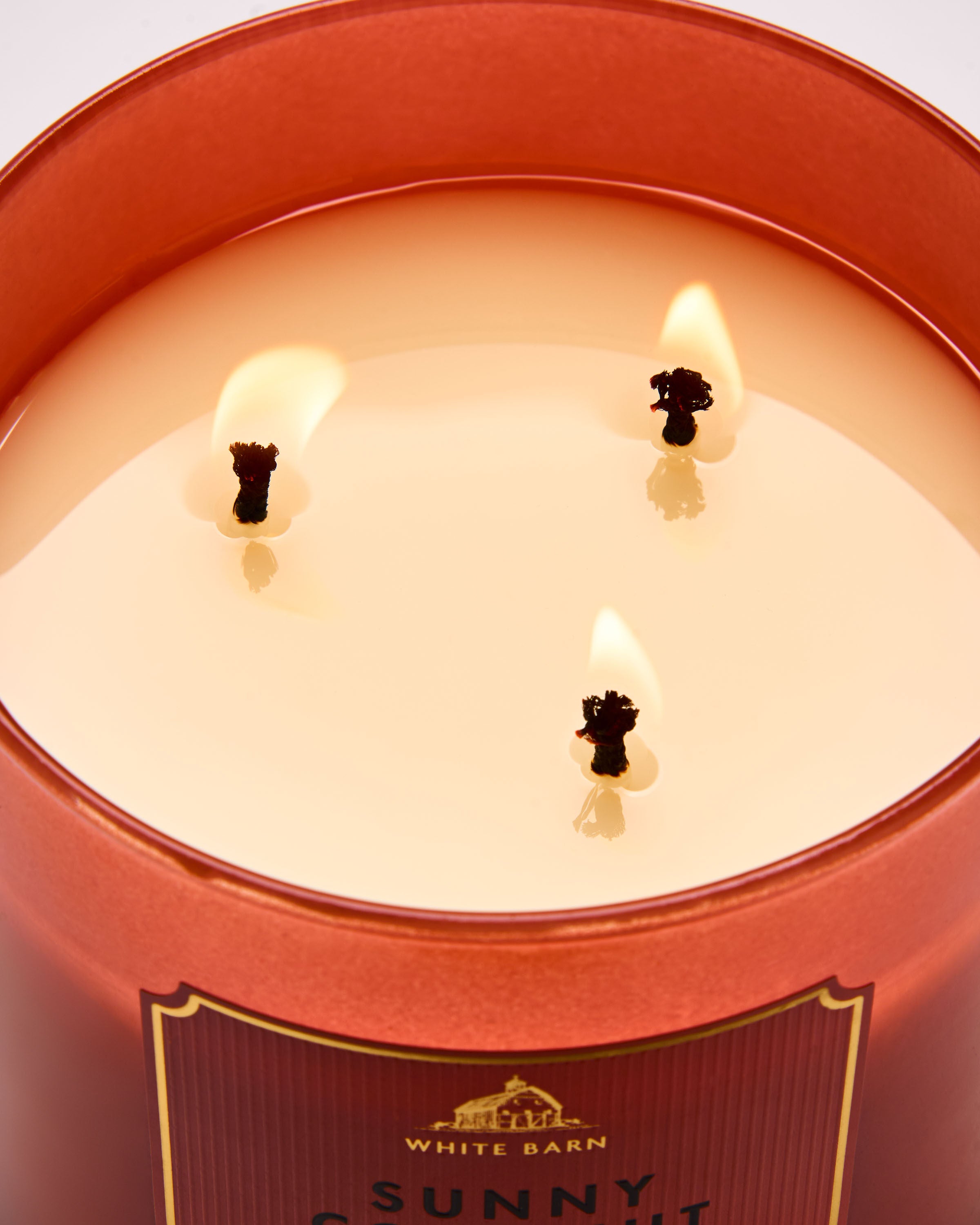 3-Wick Candle Sunny Coconut 14.5 oz / 411 g - Image 4