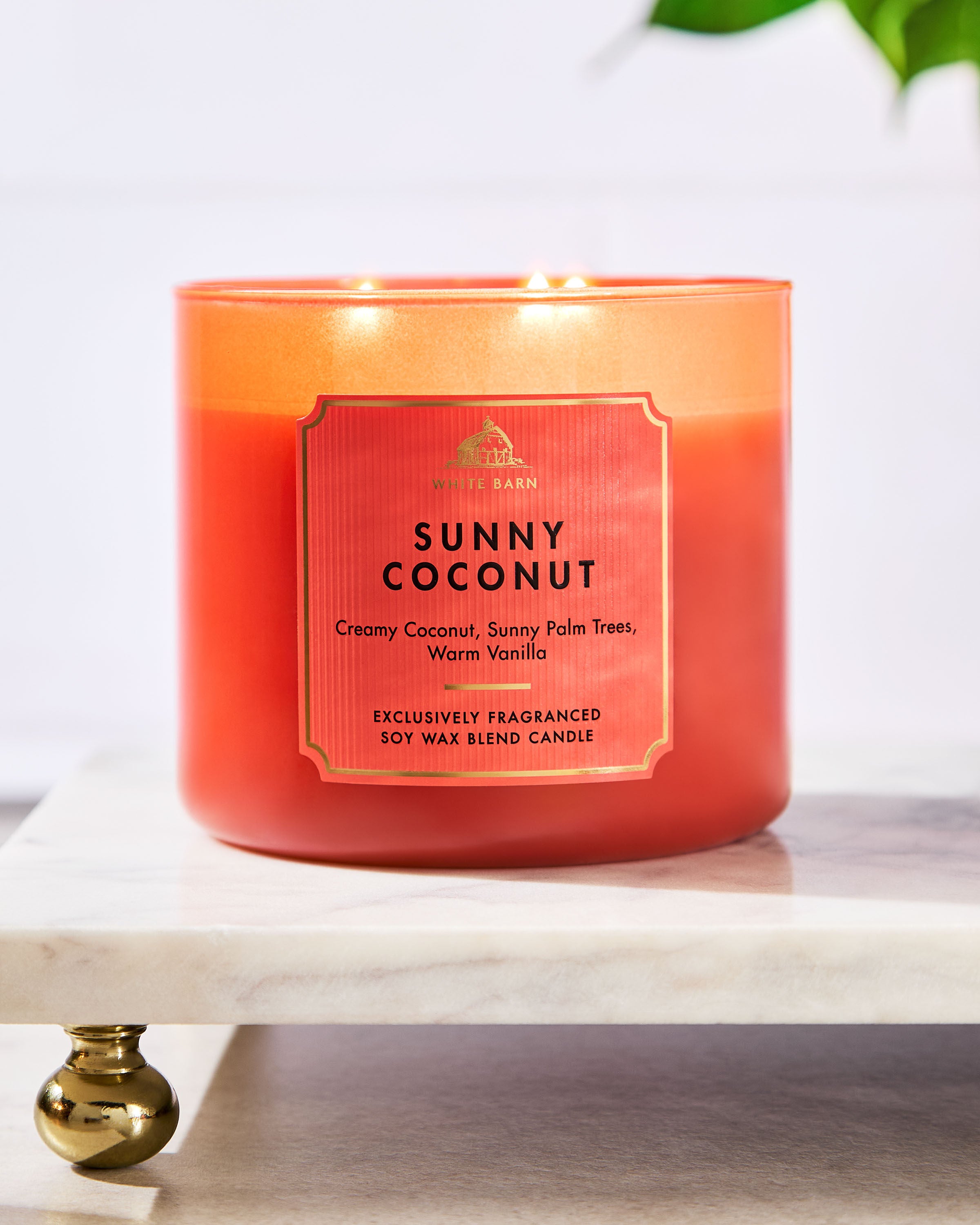 3-Wick Candle Sunny Coconut 14.5 oz / 411 g - Image 5