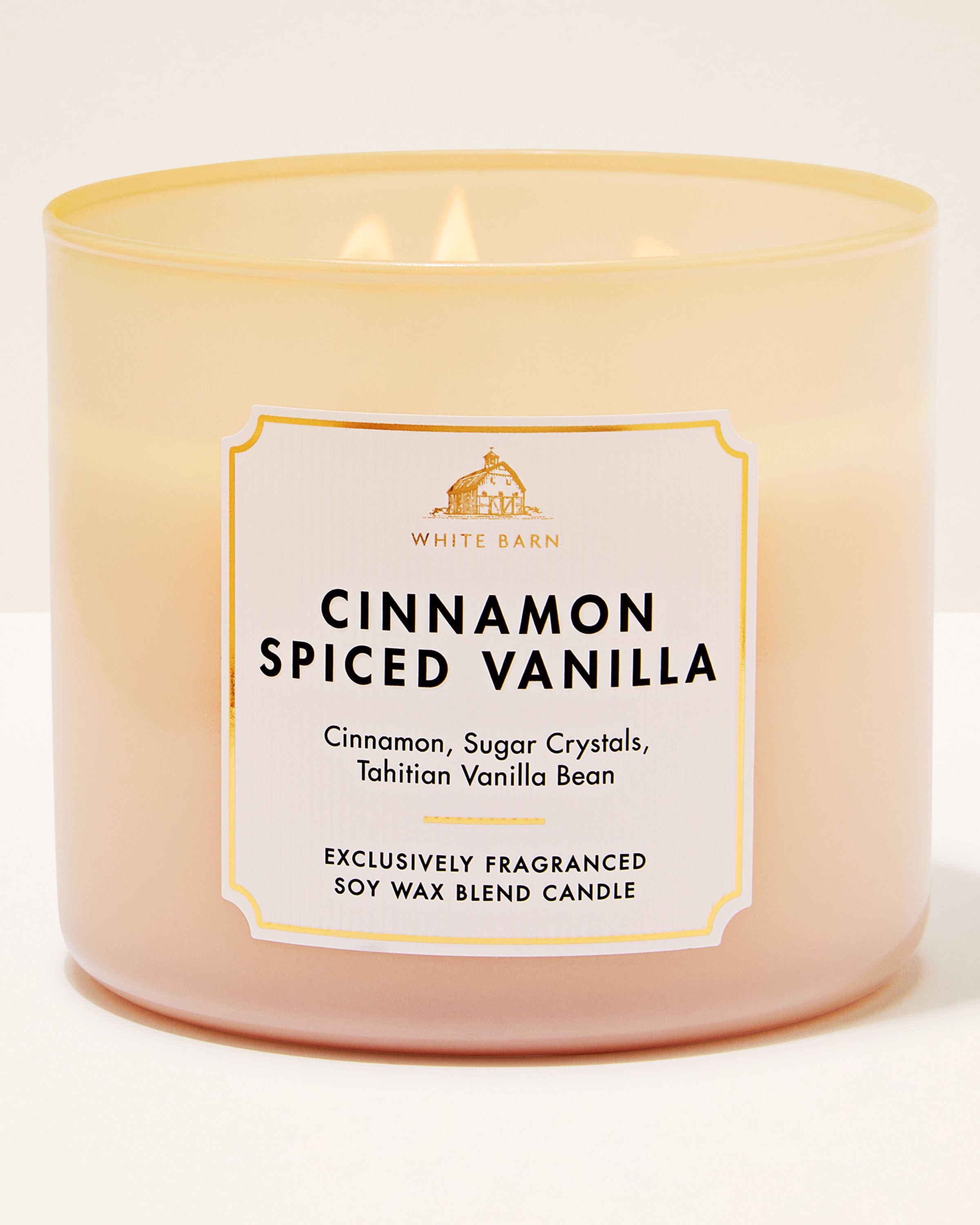 3-Wick Candle Cinnamon Spiced Vanilla 14.5 oz / 411 g