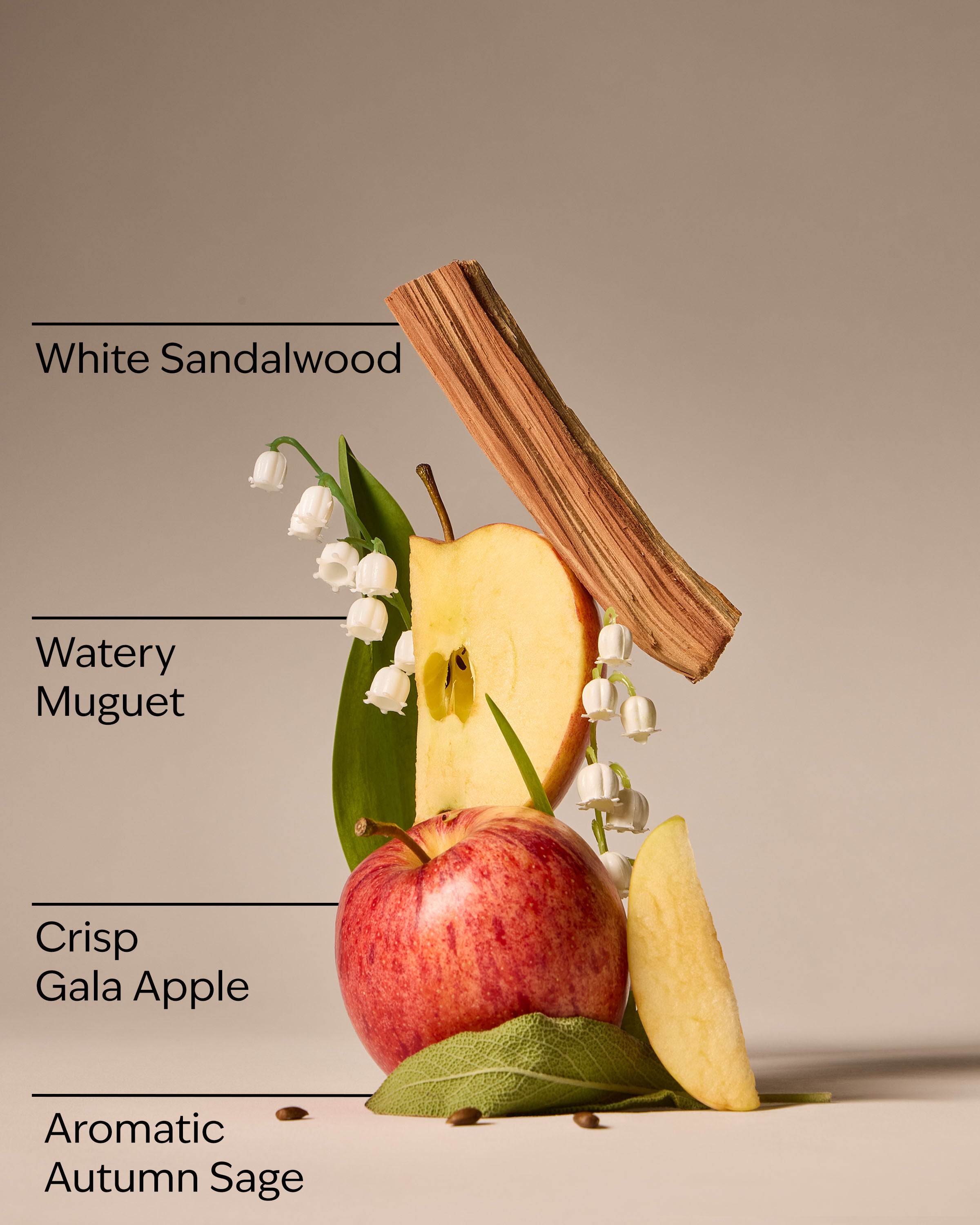 Wallflowers Refills 2-Pack Country Apple 0.8 fl oz / 24 mL, Each - Image 3