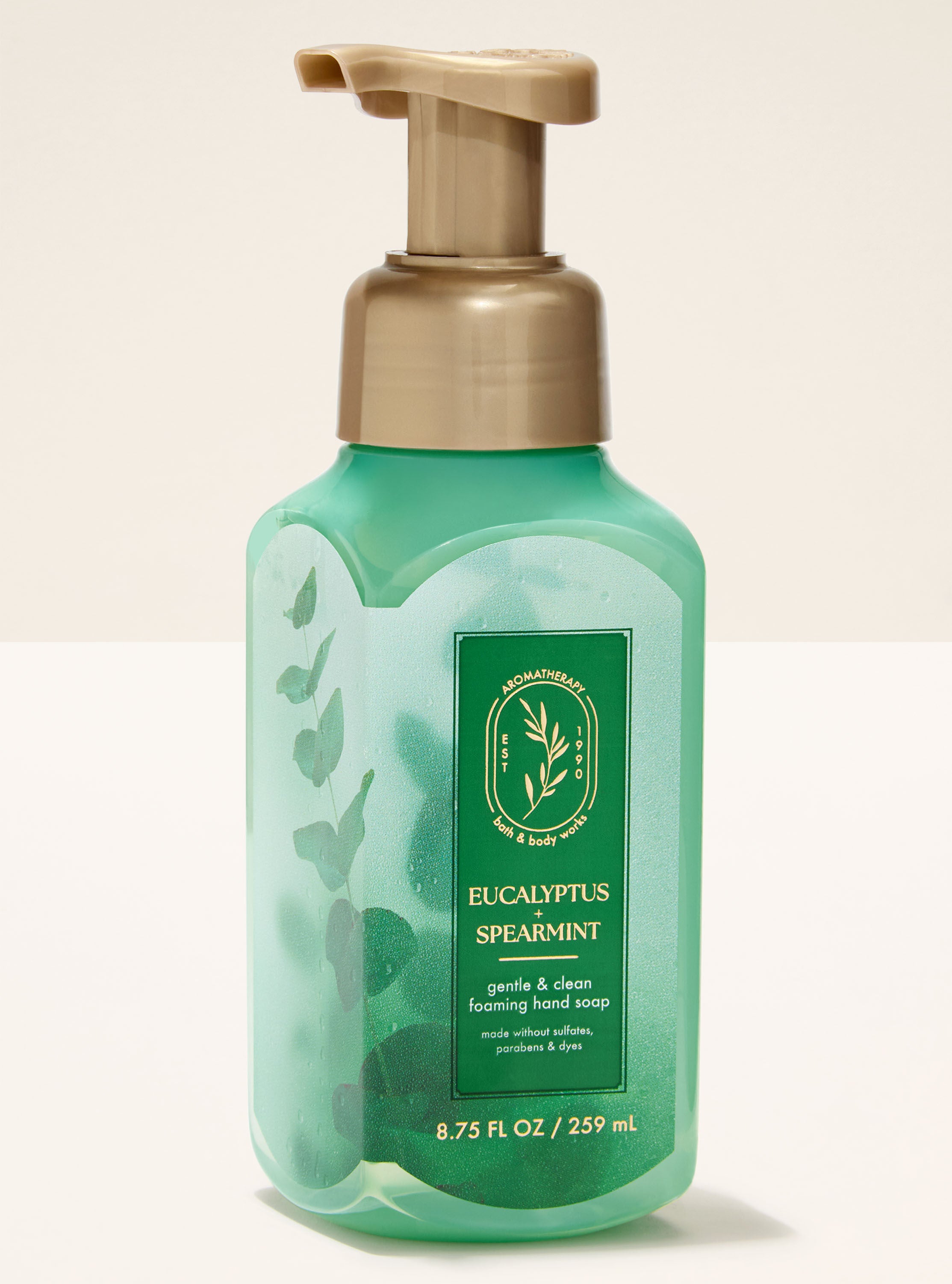 Gentle & Clean Foaming Hand Soap Eucalyptus Spearmint 8.75 fl oz / 259 mL