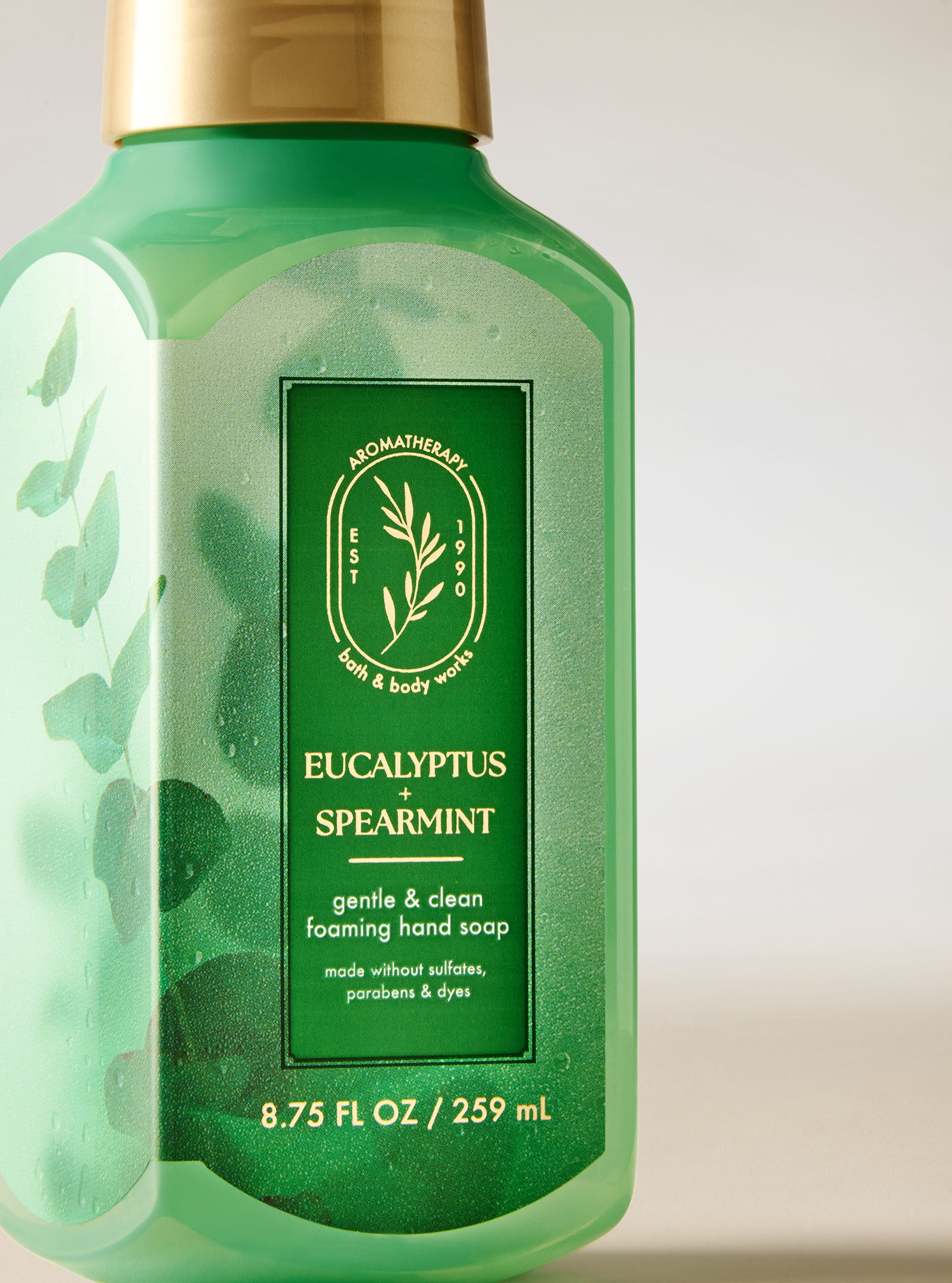 Gentle & Clean Foaming Hand Soap Eucalyptus Spearmint 8.75 fl oz / 259 mL - Image 2