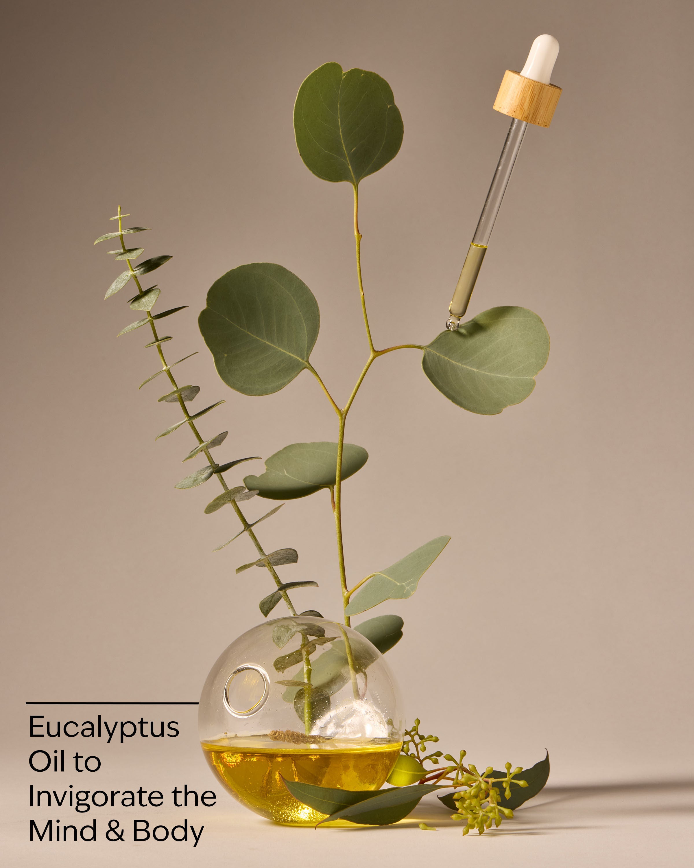 Body Wash & Foam Bath Eucalyptus 10 fl oz / 295 ml - Image 3