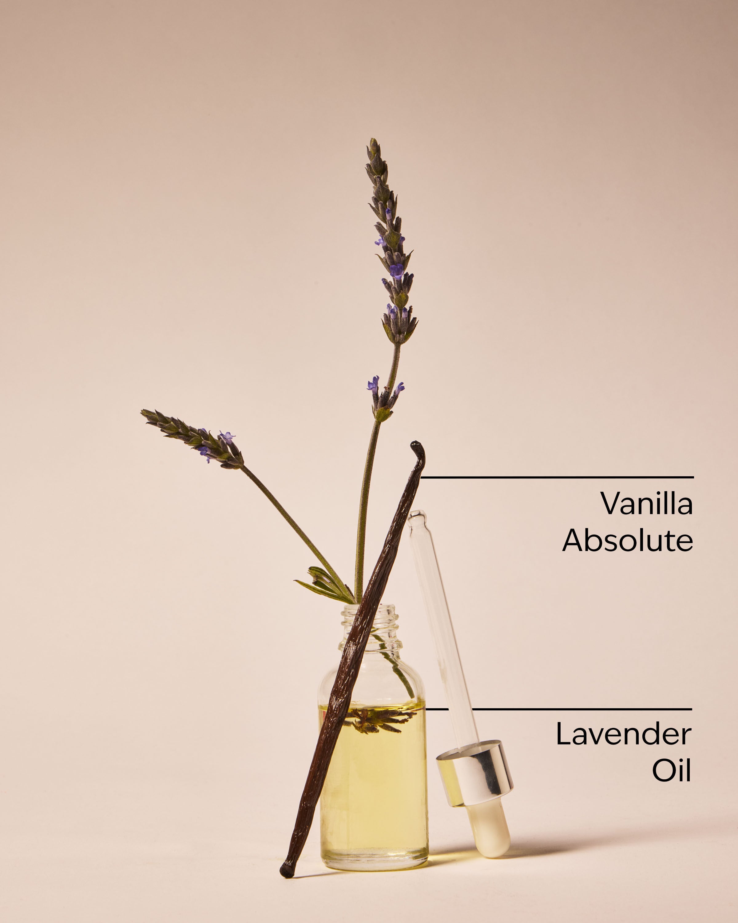 Moisturizing Body Wash Lavender Vanilla 10 fl oz / 295 ml - Image 3