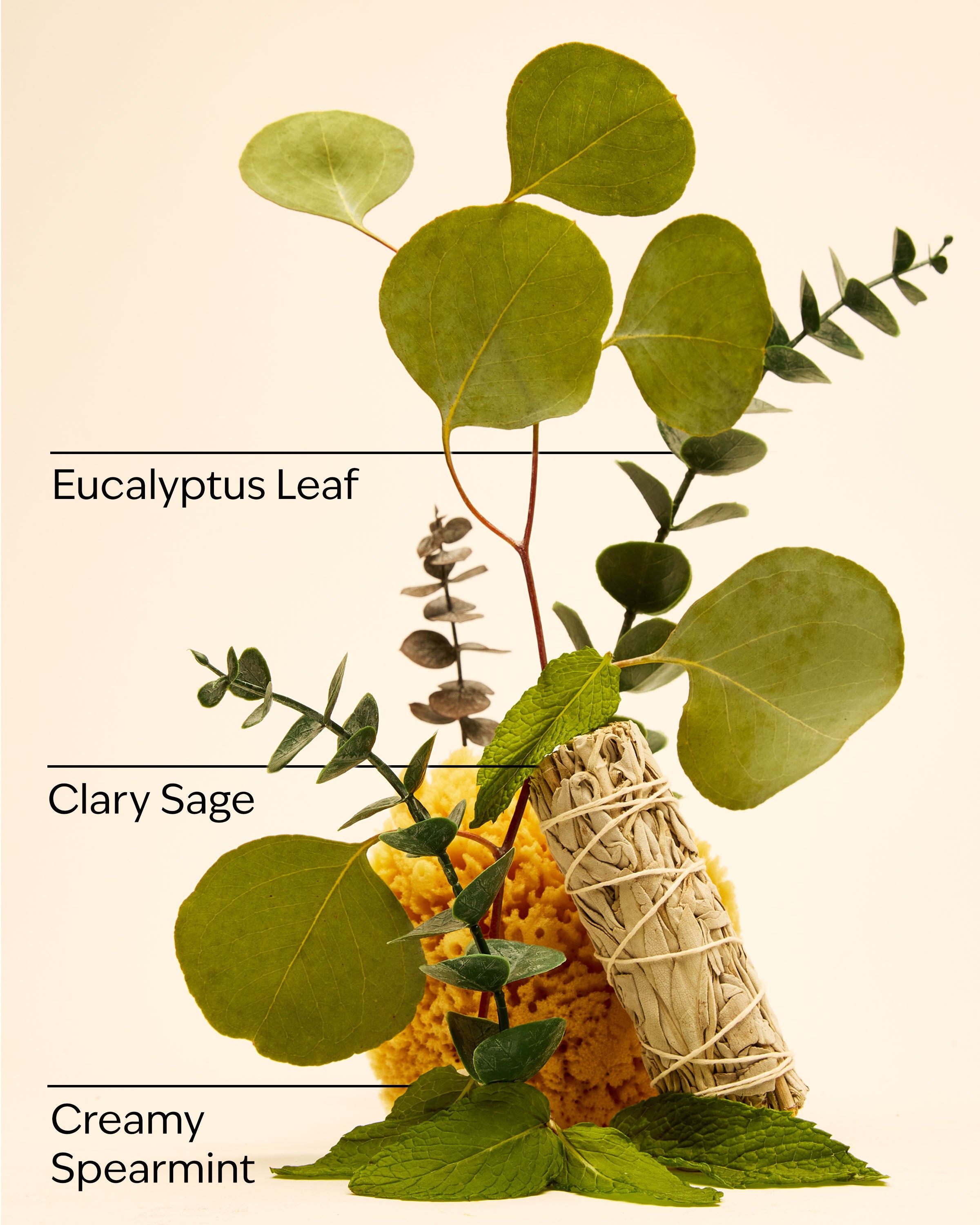Hand Cream Eucalyptus Spearmint 1 fl oz / 29 ml - Image 3