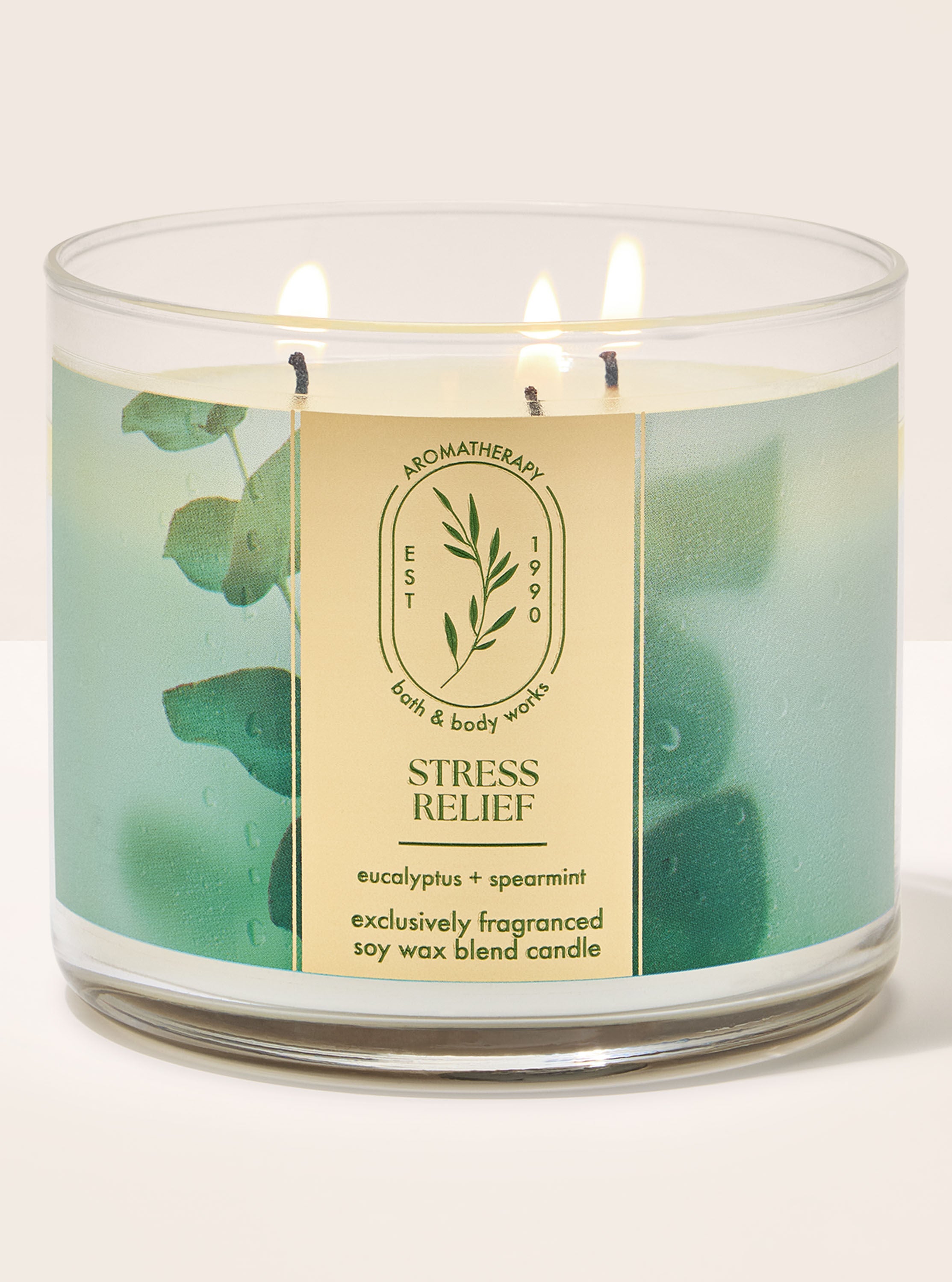 3-Wick Candle Eucalyptus Spearmint 14.5 oz / 411 g