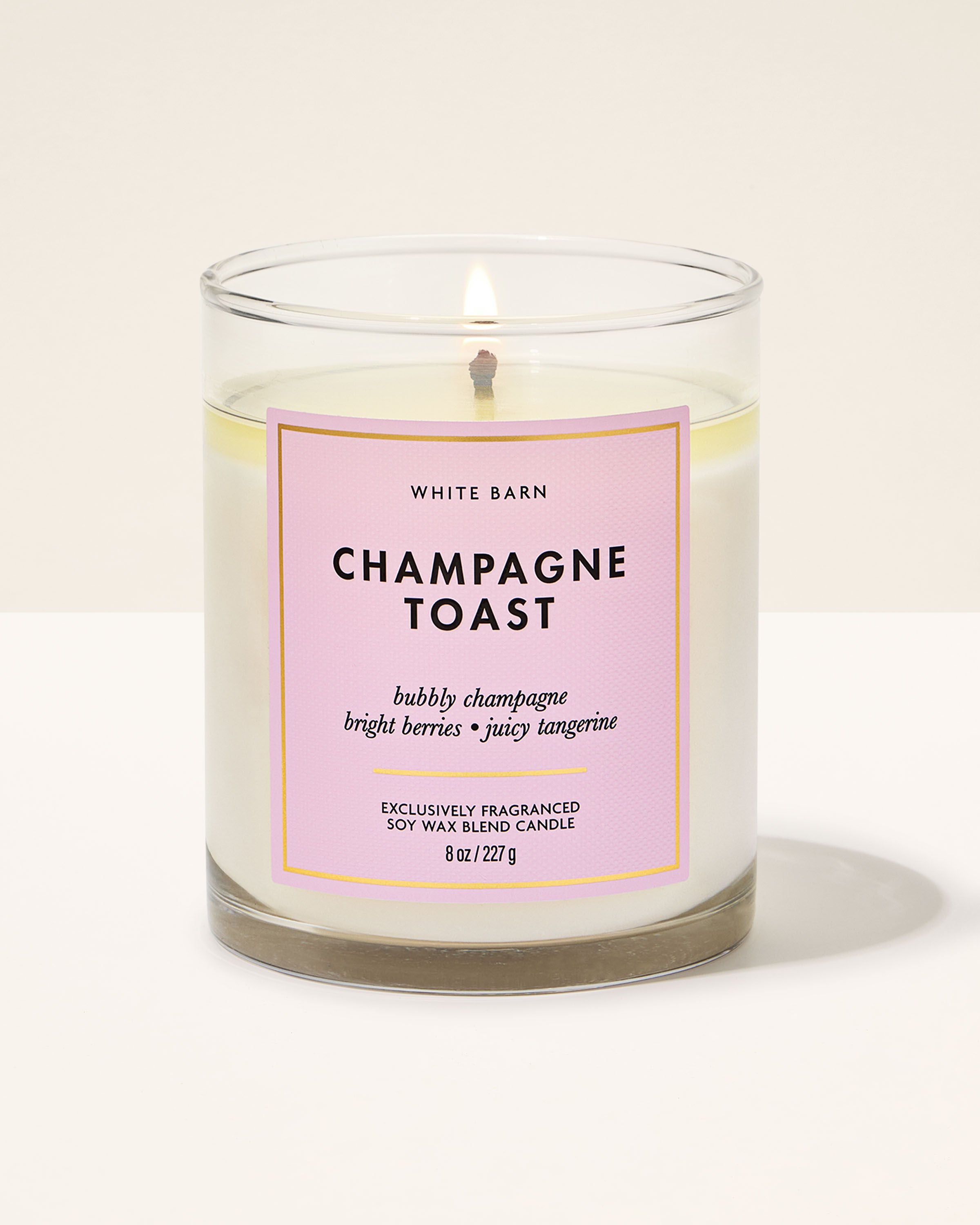 Single Wick Candle Champagne Toast 8 oz / 227 g