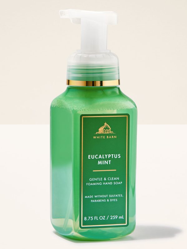 Gentle & Clean Foaming Hand Soap  Eucalyptus Mint 8.75 fl oz / 259 ml