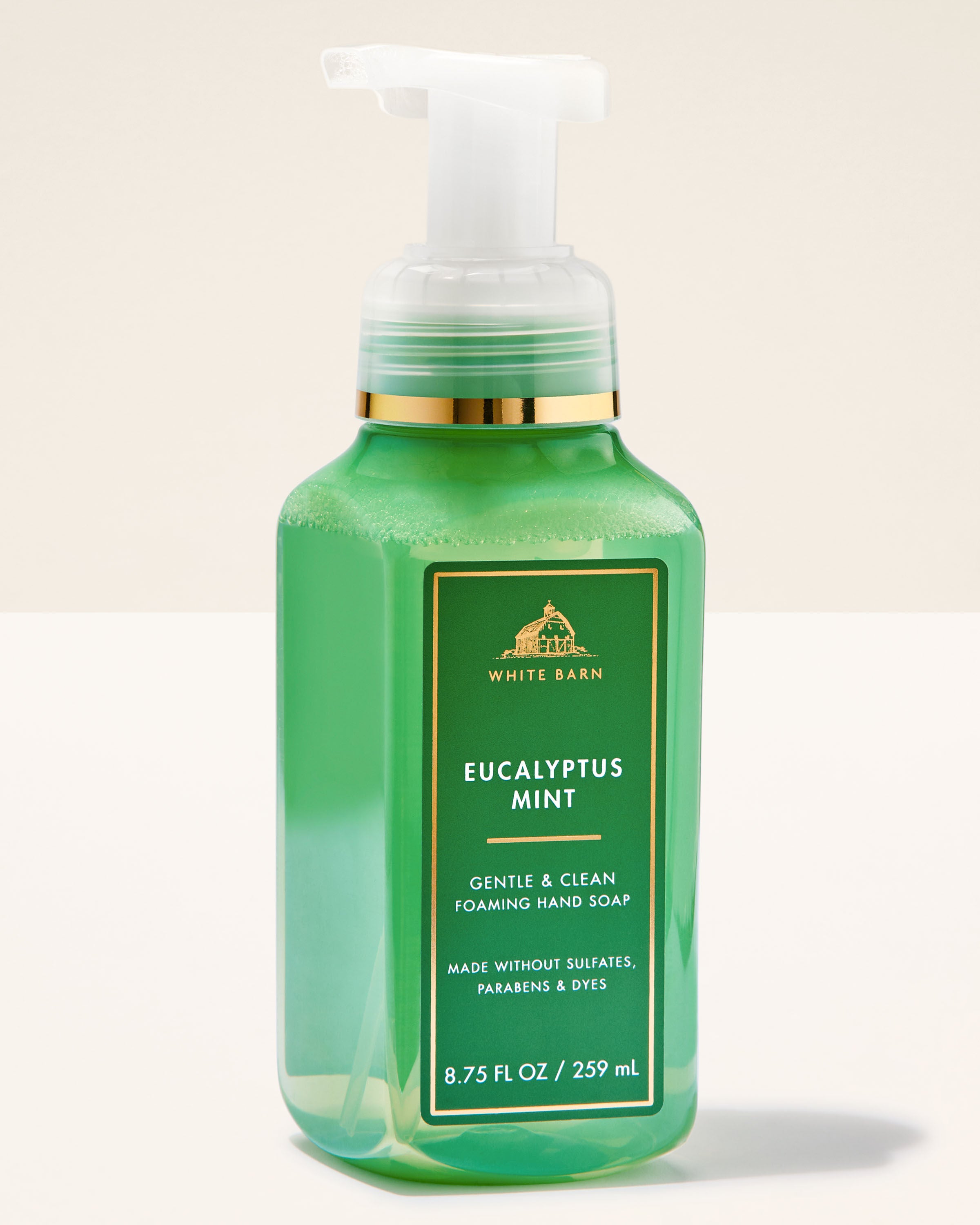 Gentle & Clean Foaming Hand Soap Eucalyptus Mint 8.75 fl oz / 259 ml