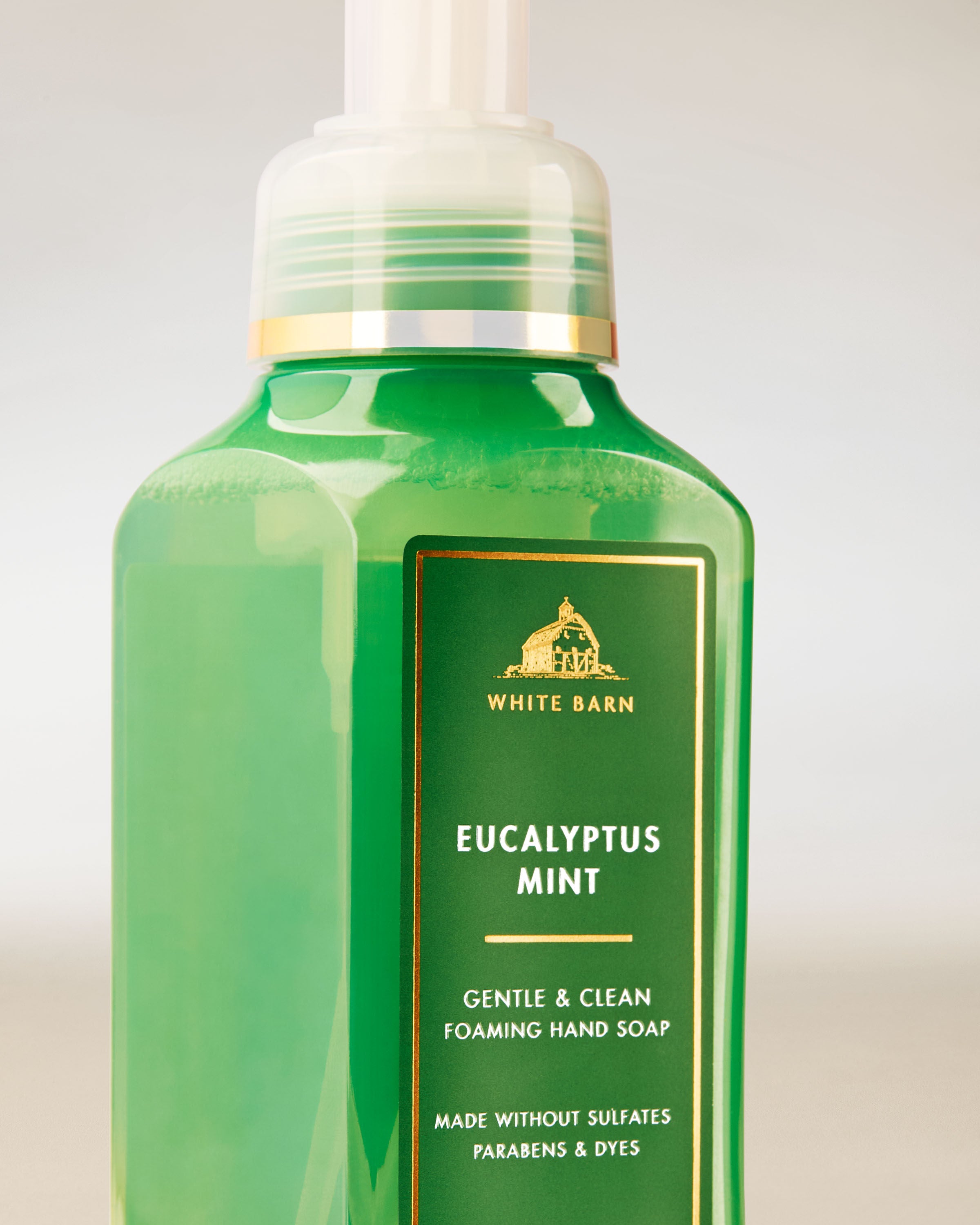 Gentle & Clean Foaming Hand Soap Eucalyptus Mint 8.75 fl oz / 259 ml - Image 2