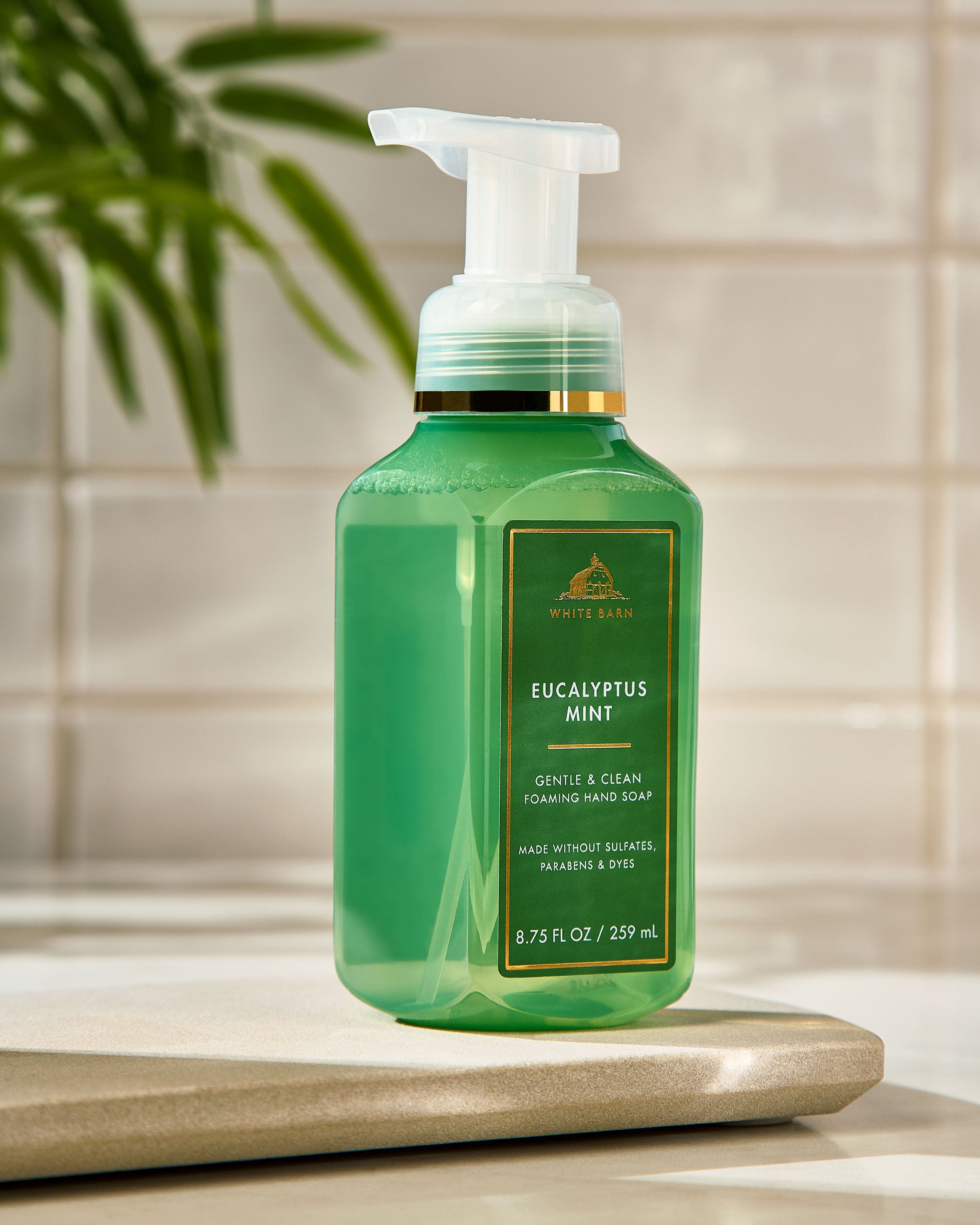 Gentle & Clean Foaming Hand Soap Eucalyptus Mint 8.75 fl oz / 259 ml - Image 7
