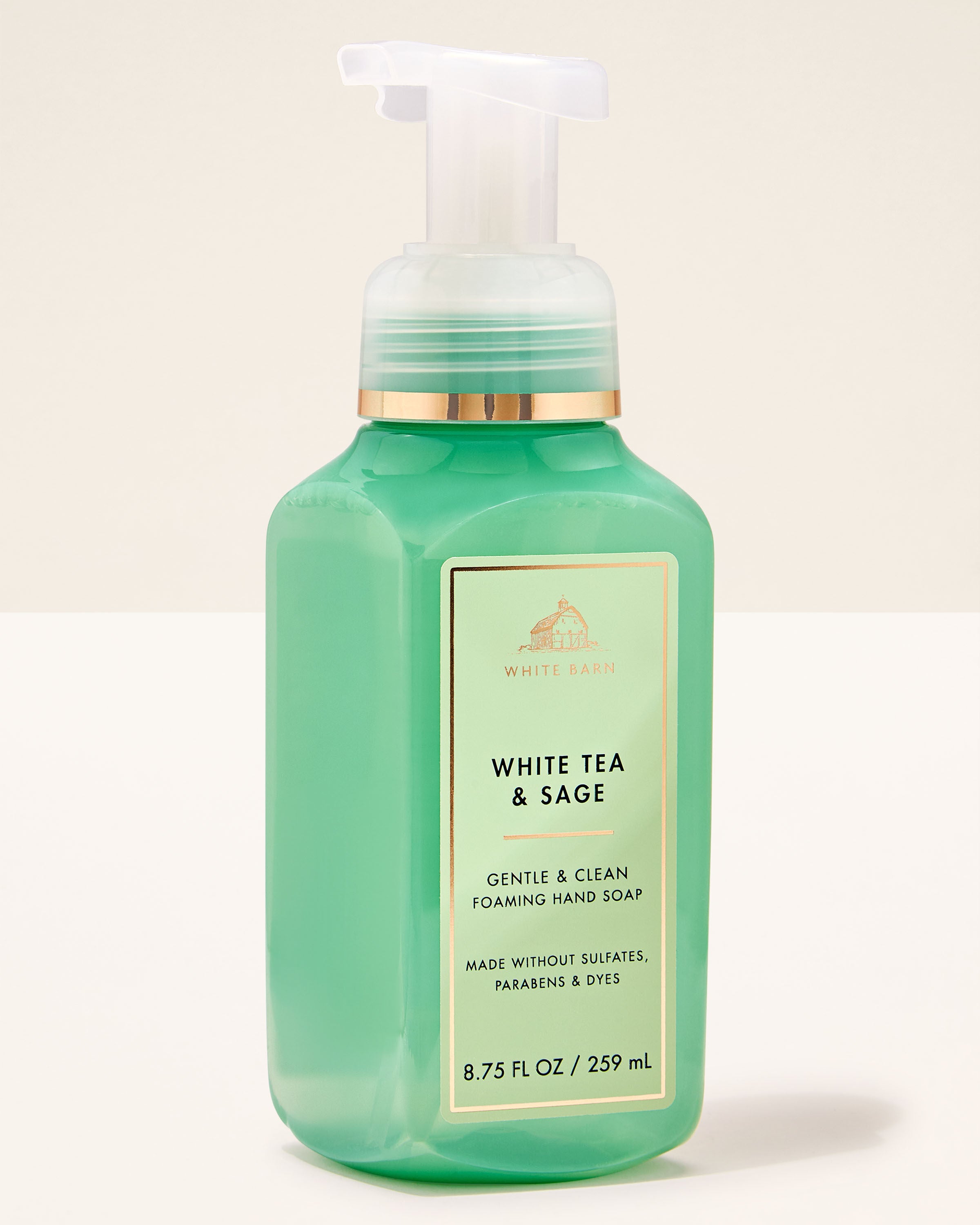 Gentle & Clean Foaming Hand Soap White Tea & Sage 8.75 fl oz / 259 ml