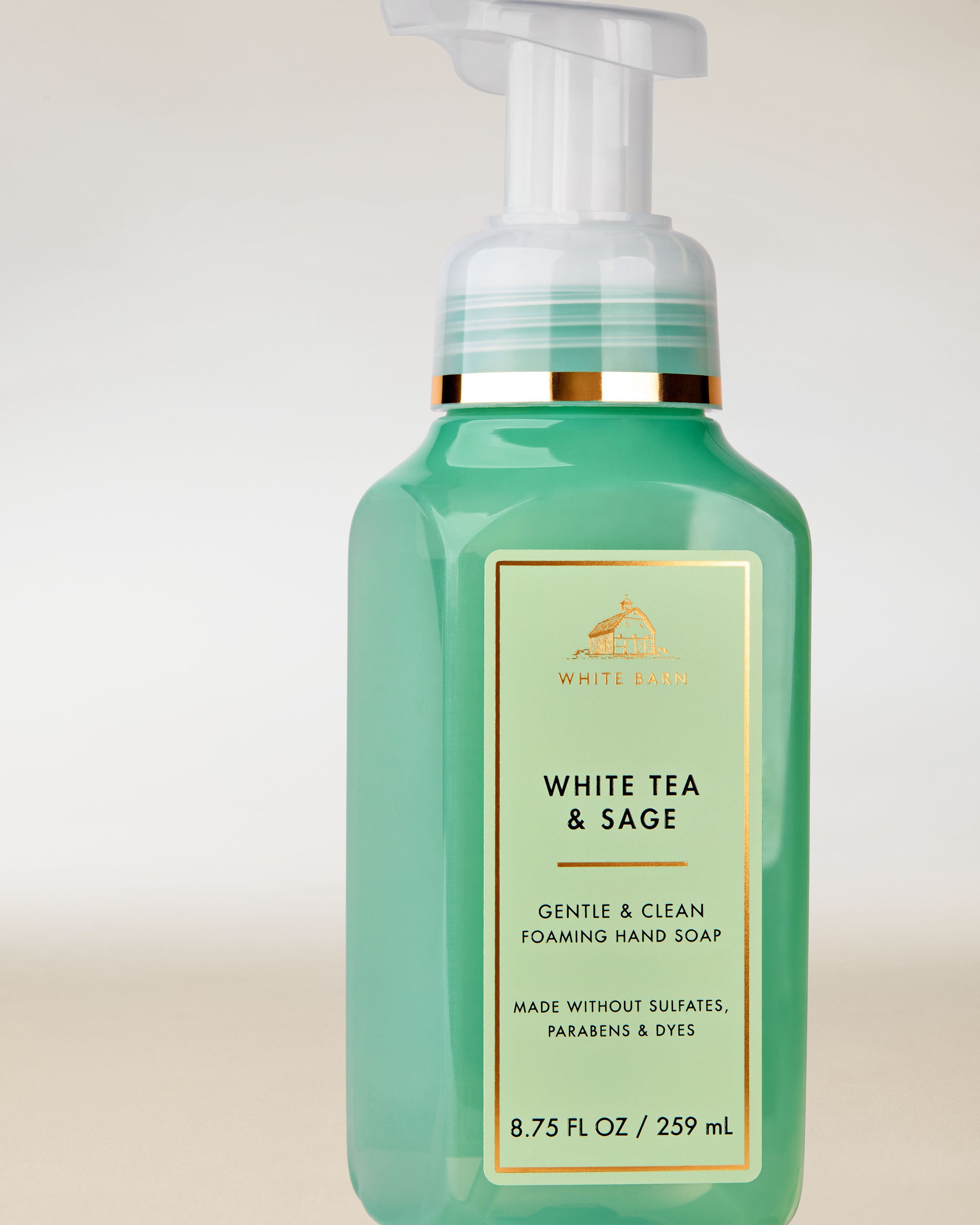 Gentle & Clean Foaming Hand Soap White Tea & Sage 8.75 fl oz / 259 ml - Image 14