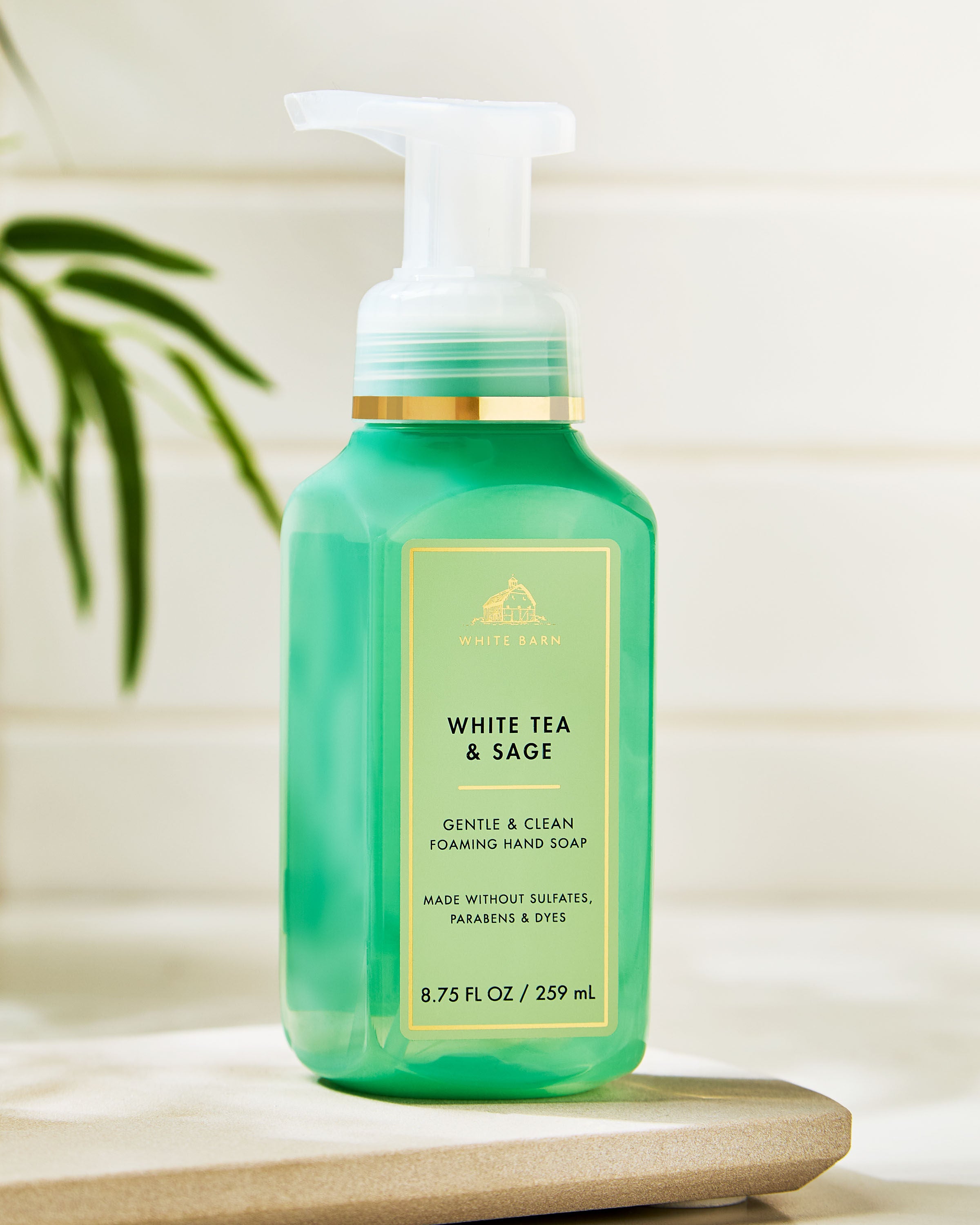 Gentle & Clean Foaming Hand Soap White Tea & Sage 8.75 fl oz / 259 ml - Image 19