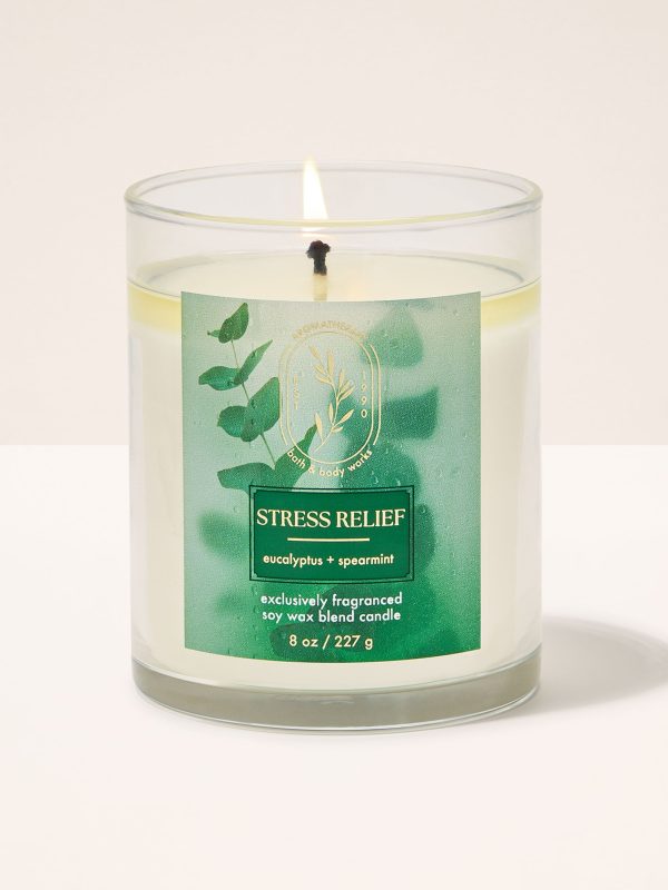Single Wick Candle  Eucalyptus Spearmint 8 oz / 227 g