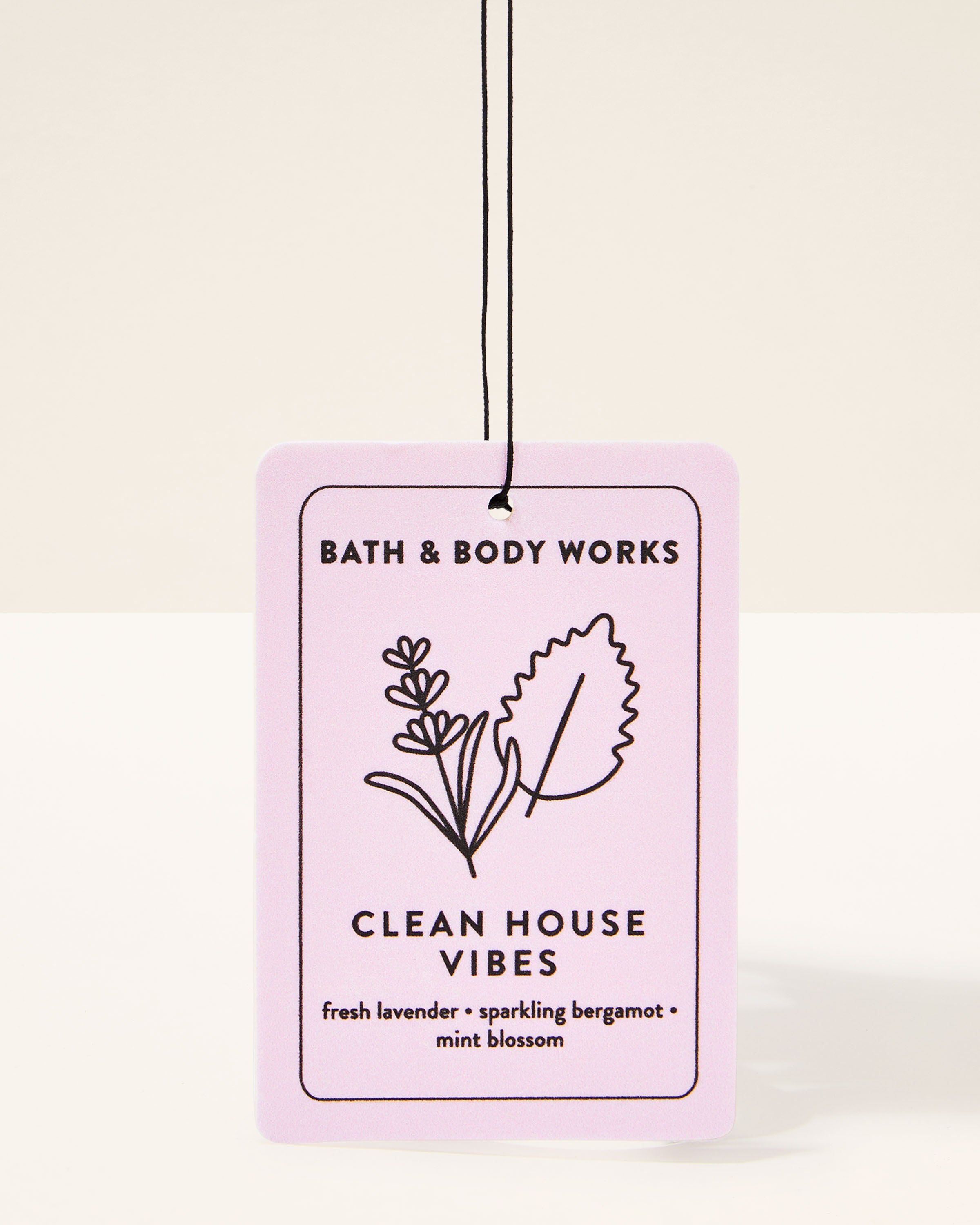 Hanging Fragrance Diffuser Clean House Vibes 2.5 g