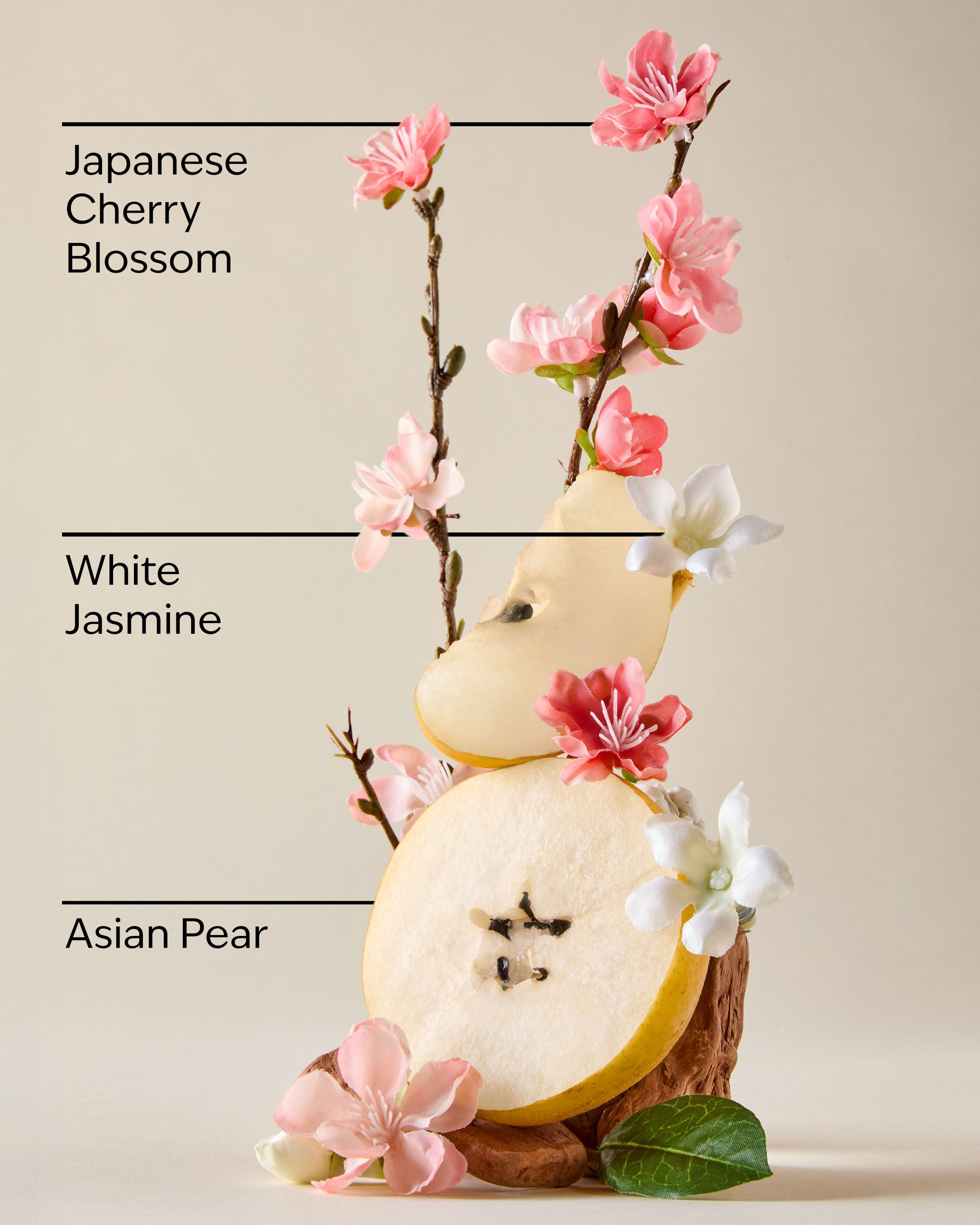 Body Butter Japanese Cherry Blossom 6.5 oz / 185 g - Image 3