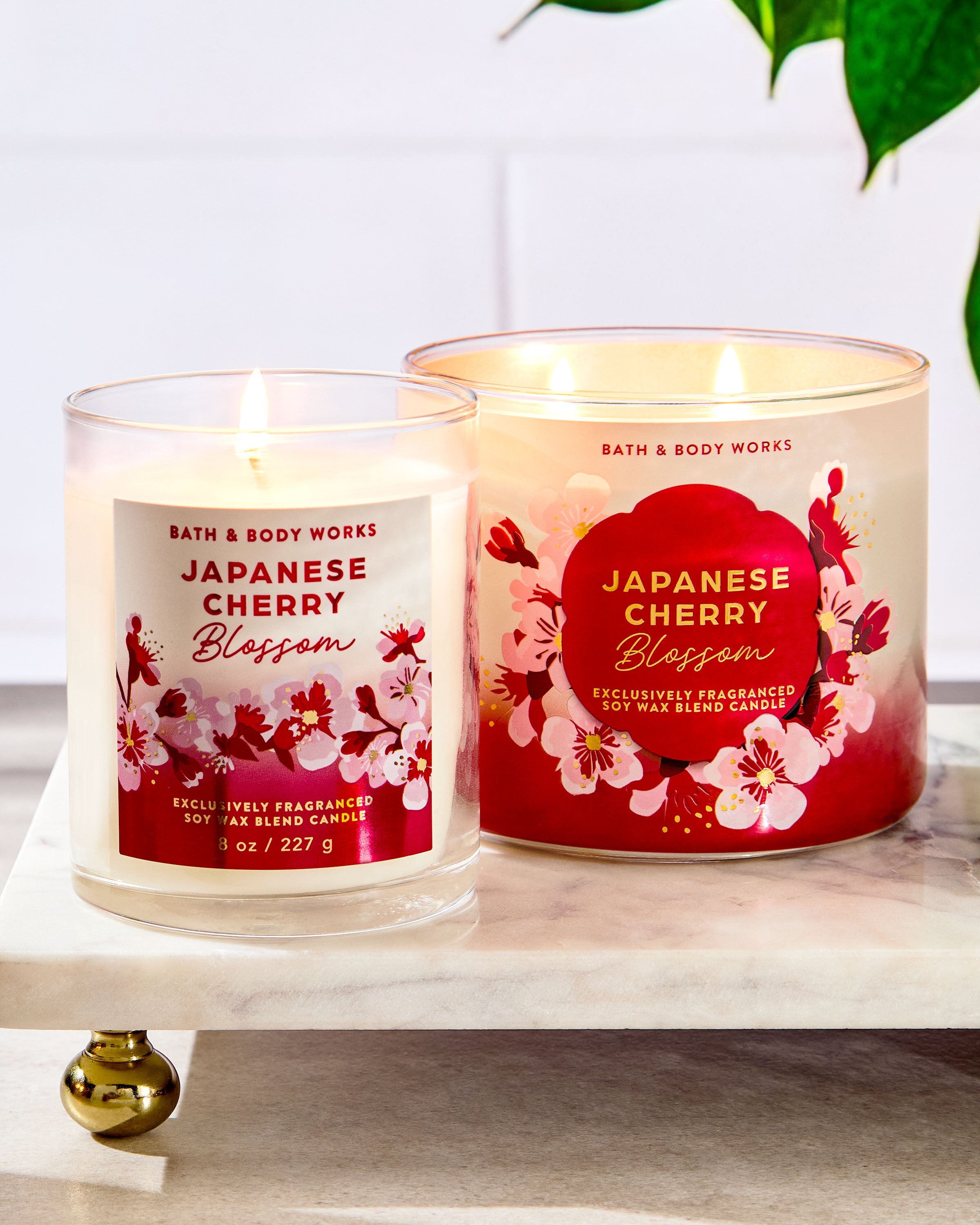 Single Wick Candle Japanese Cherry Blossom 8 oz / 227 g - Image 6