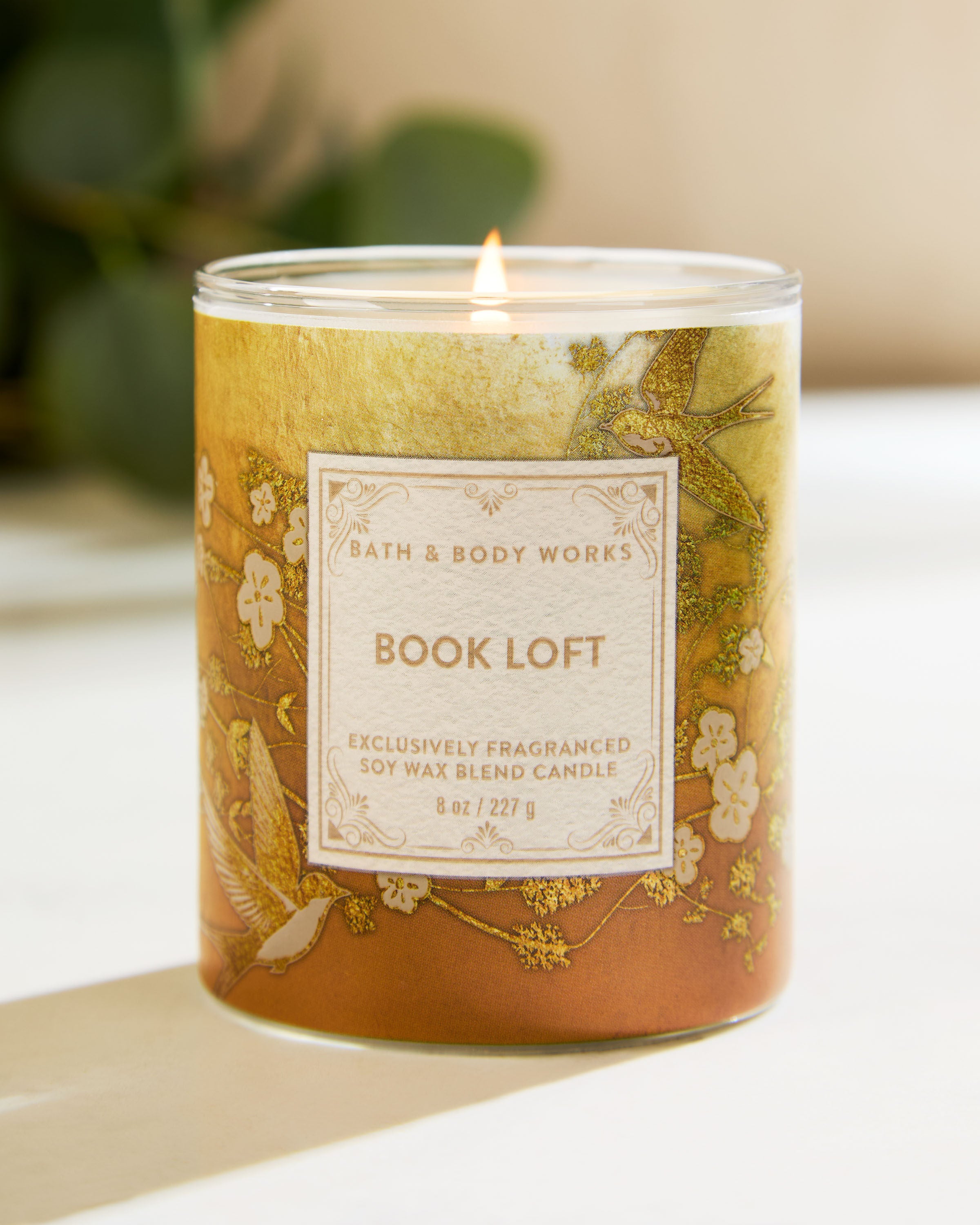Single Wick Candle Book Loft 8 oz / 227 g - Image 6
