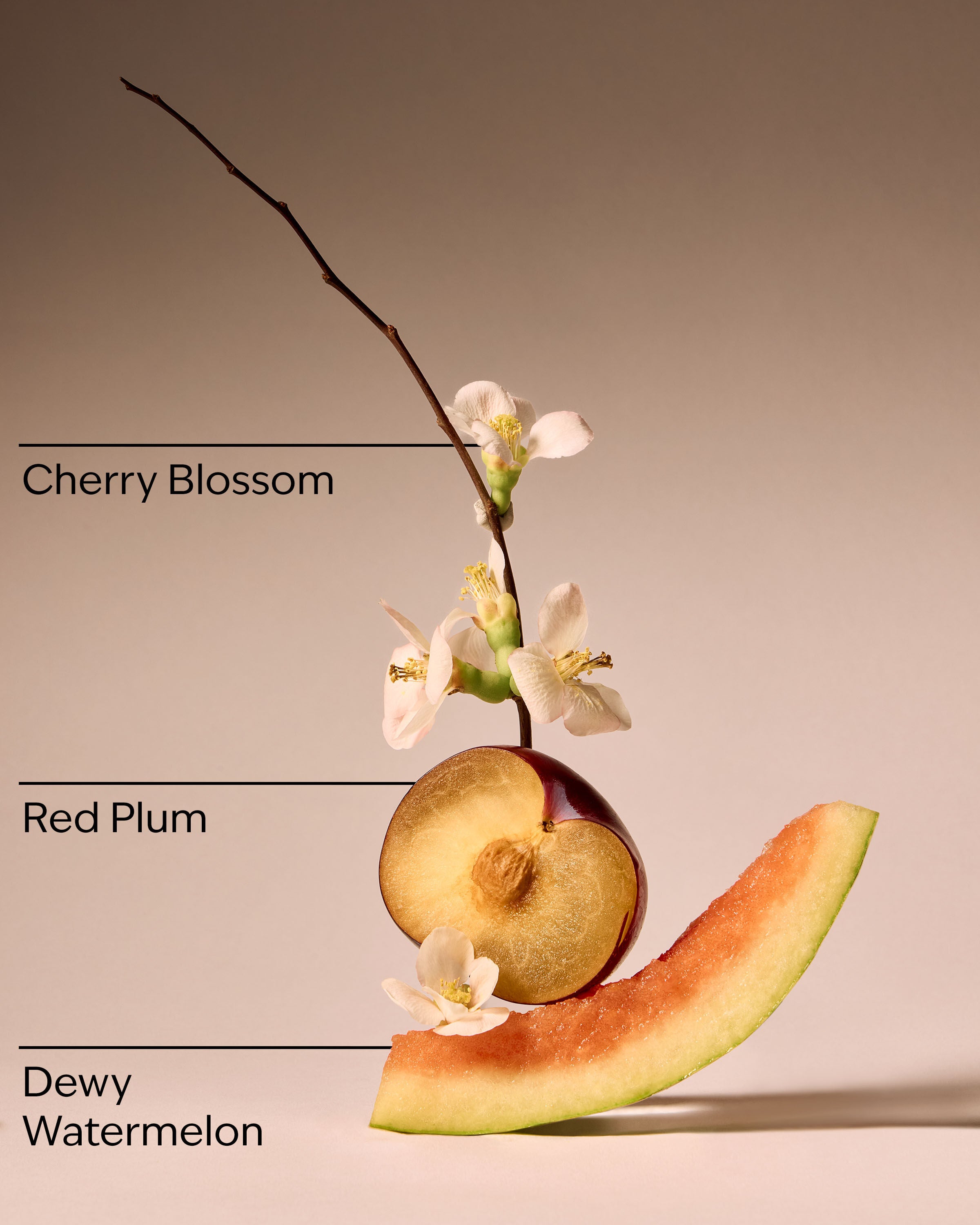 Body Lotion Cherry Blossom 8 fl oz / 236 ml - Image 3
