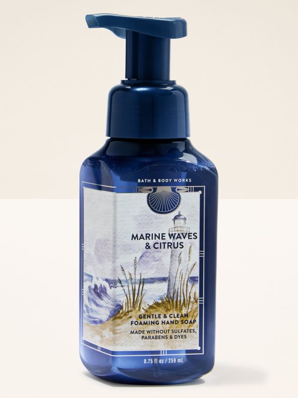 Gentle & Clean Foaming Hand Soap  Marine Waves & Citrus 8.75 fl oz / 259 ml