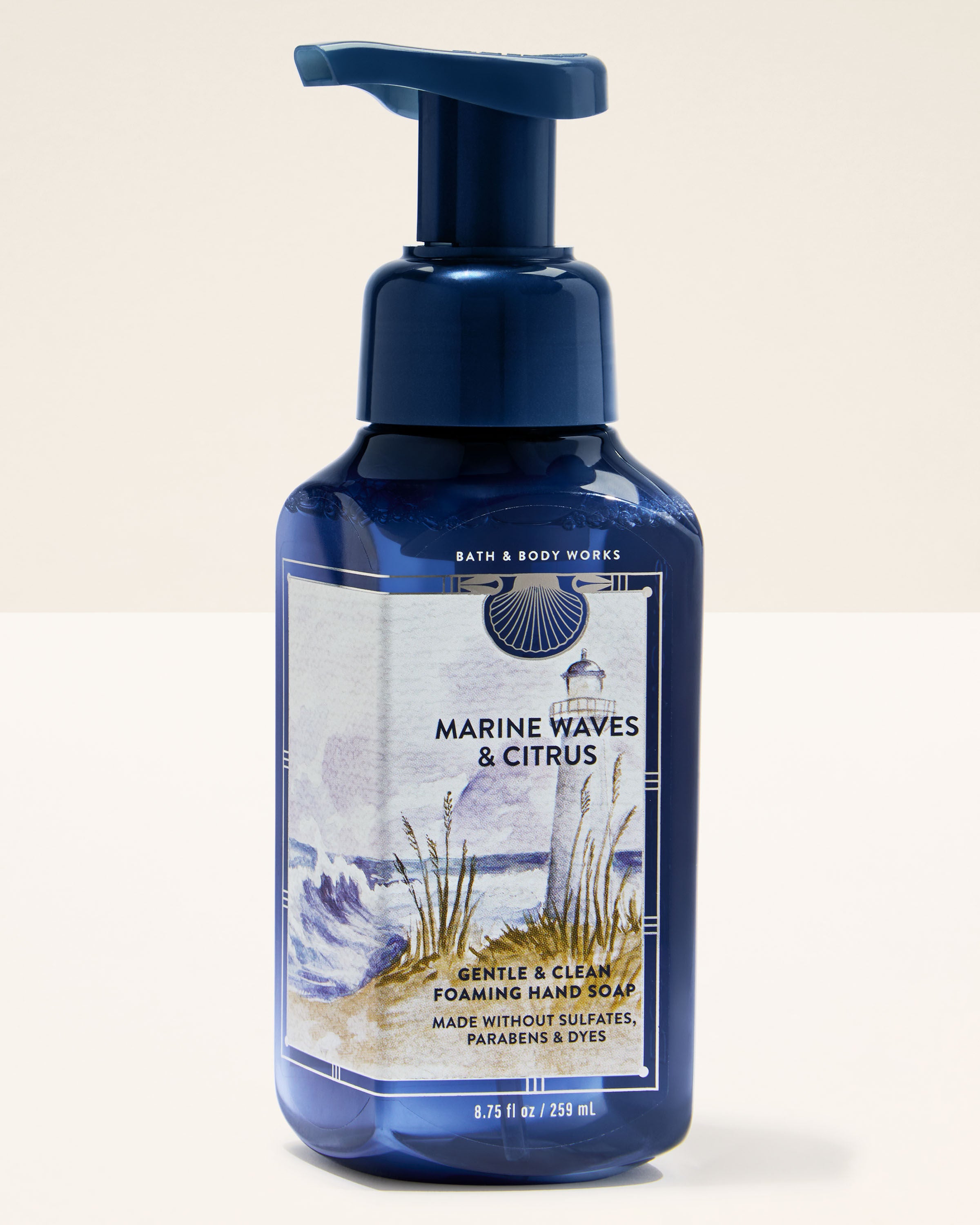 Gentle & Clean Foaming Hand Soap Marine Waves & Citrus 8.75 fl oz / 259 ml